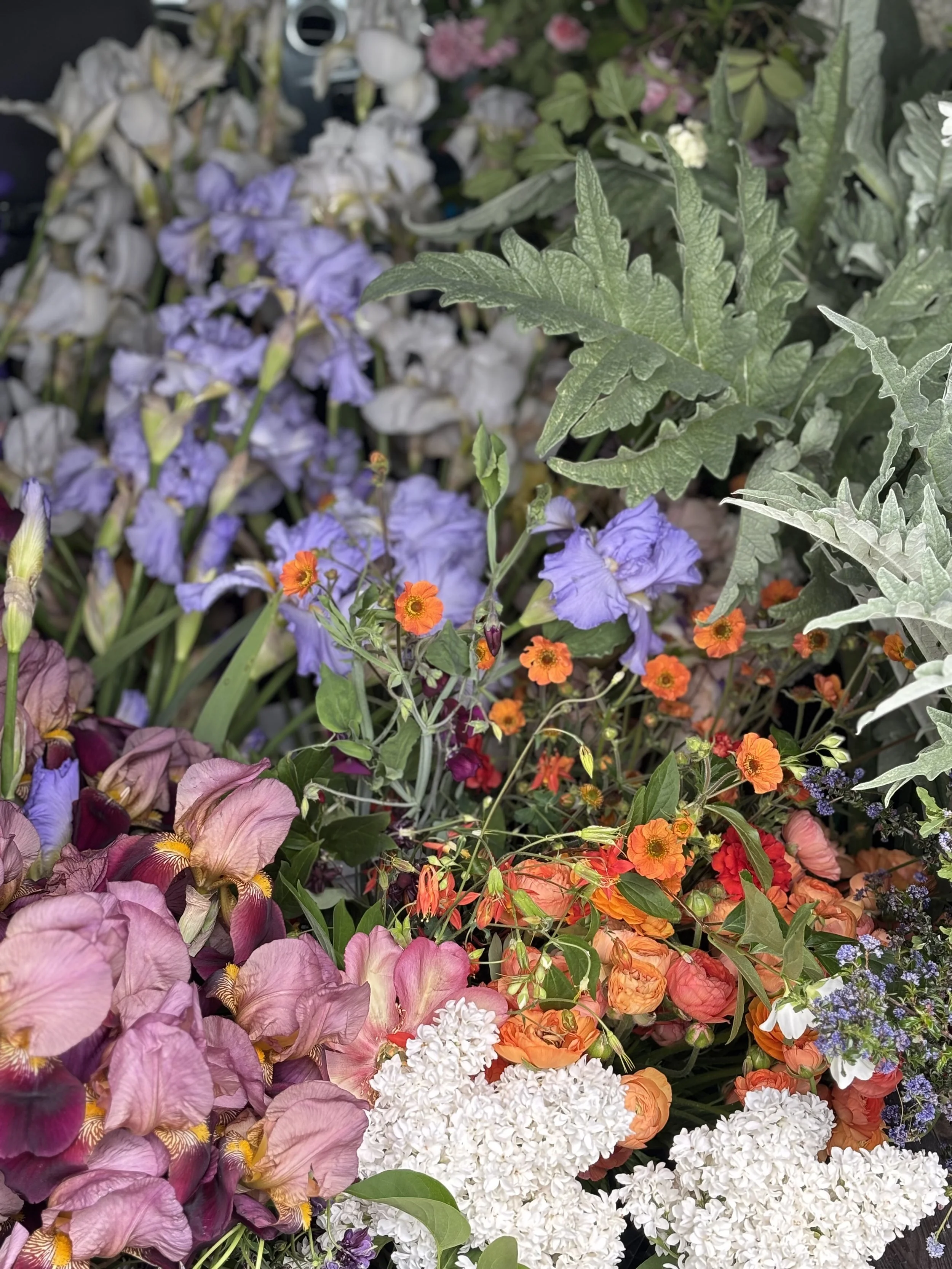 colorful picture of irises, wildflowers, ranunculus and geum all together