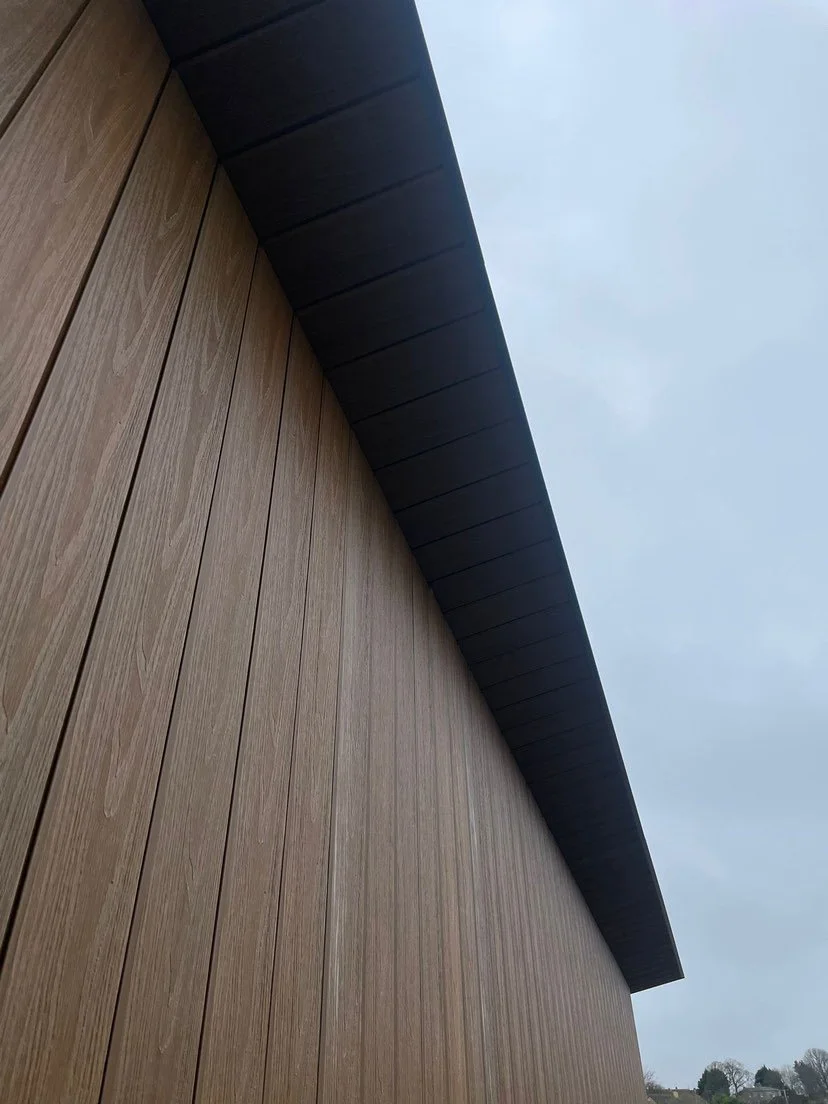 Walnut Close Up.JPG