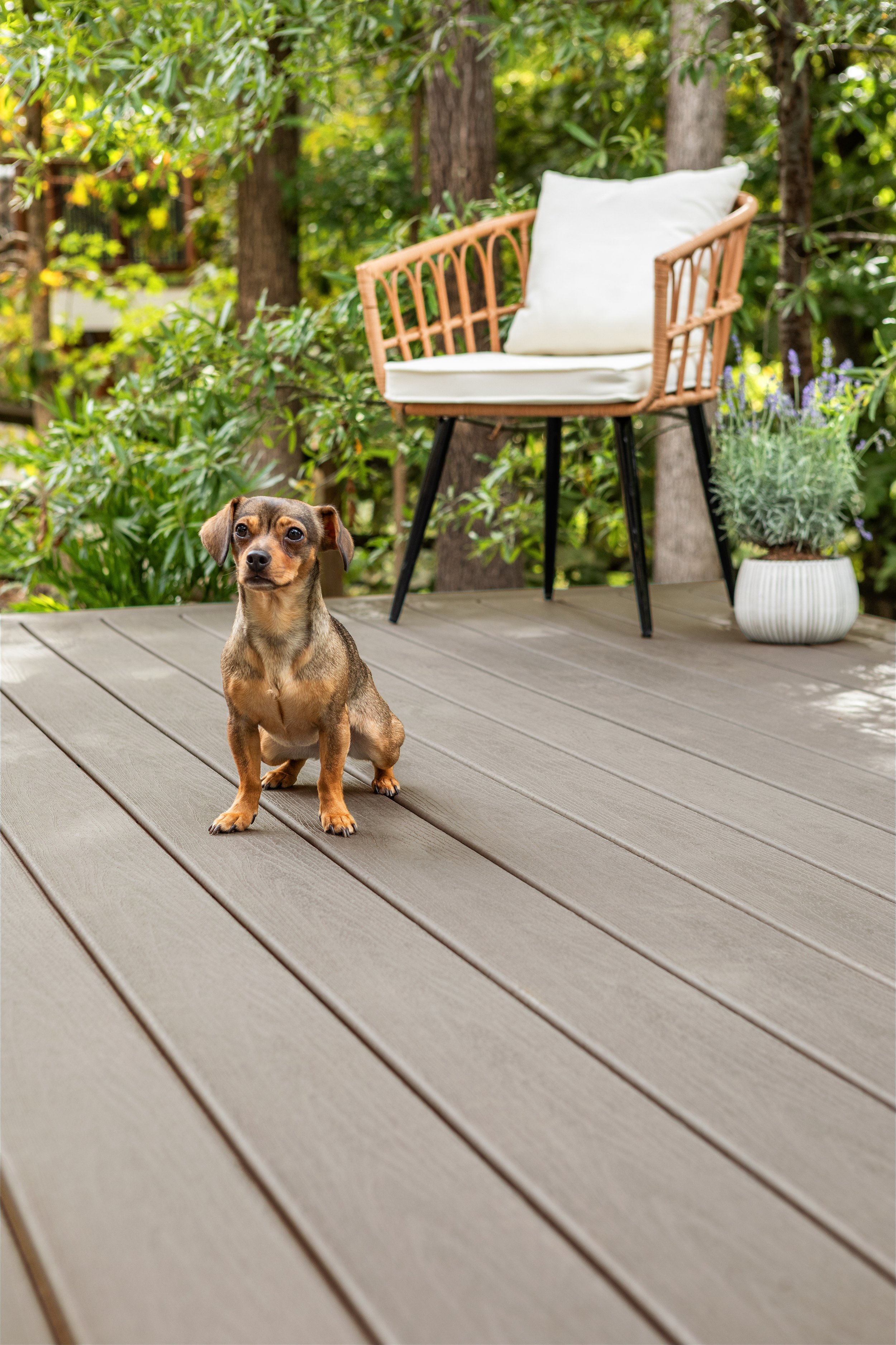 Trex Composite Decking in Tide Pool installation