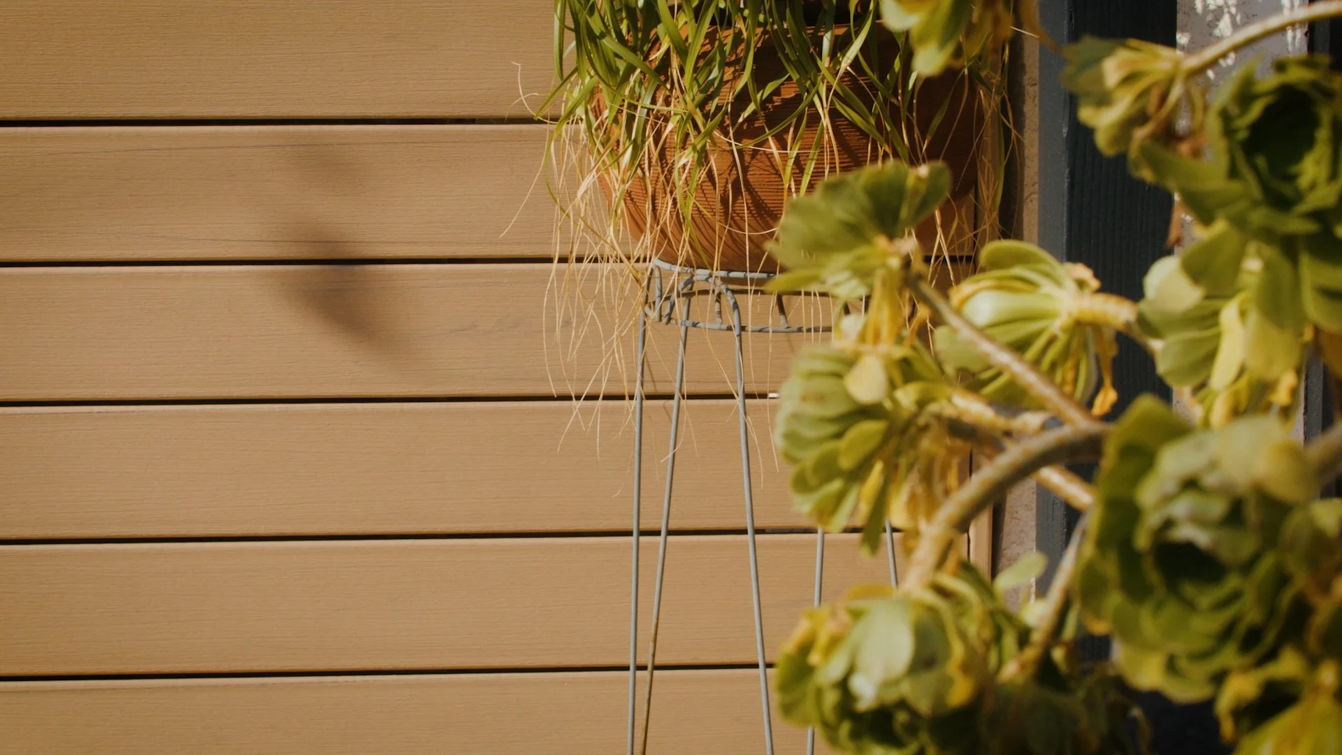 Trex Composite Decking in Carmel installation close up
