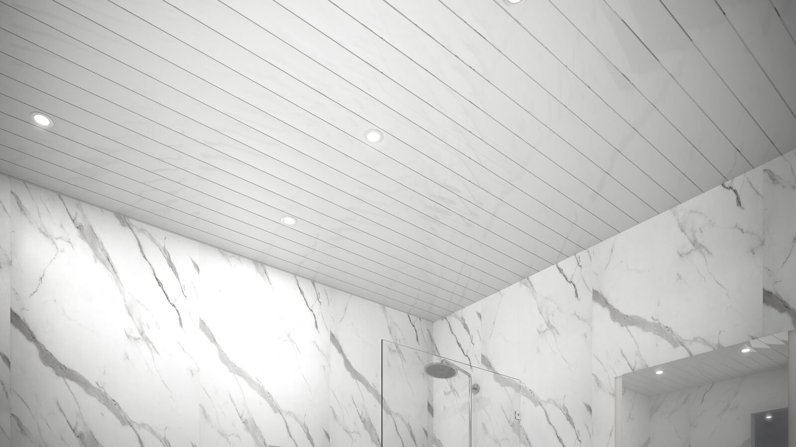 Ceiling Panels Silver Strip & White Gloss Installed