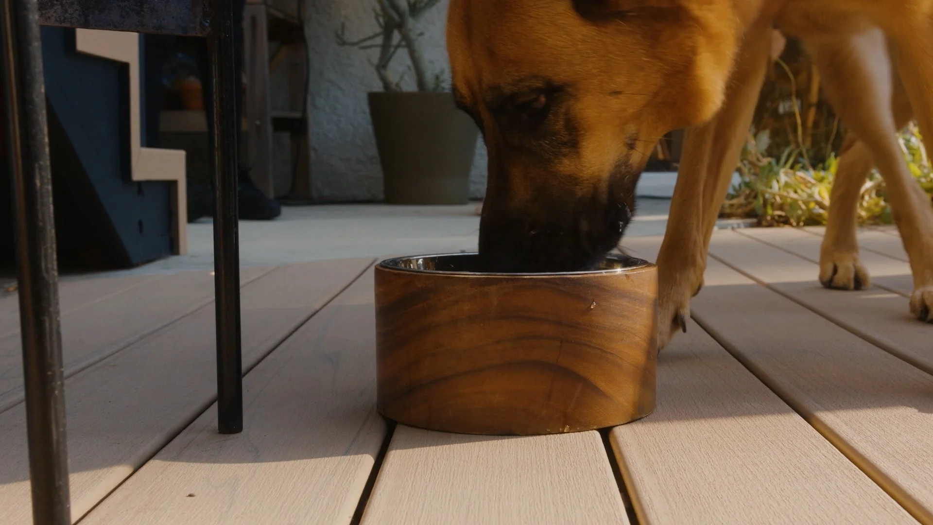 Trex Composite Decking in Carmel installation pet safe