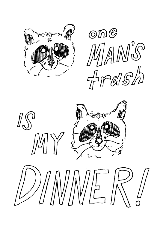 Raccs.png
