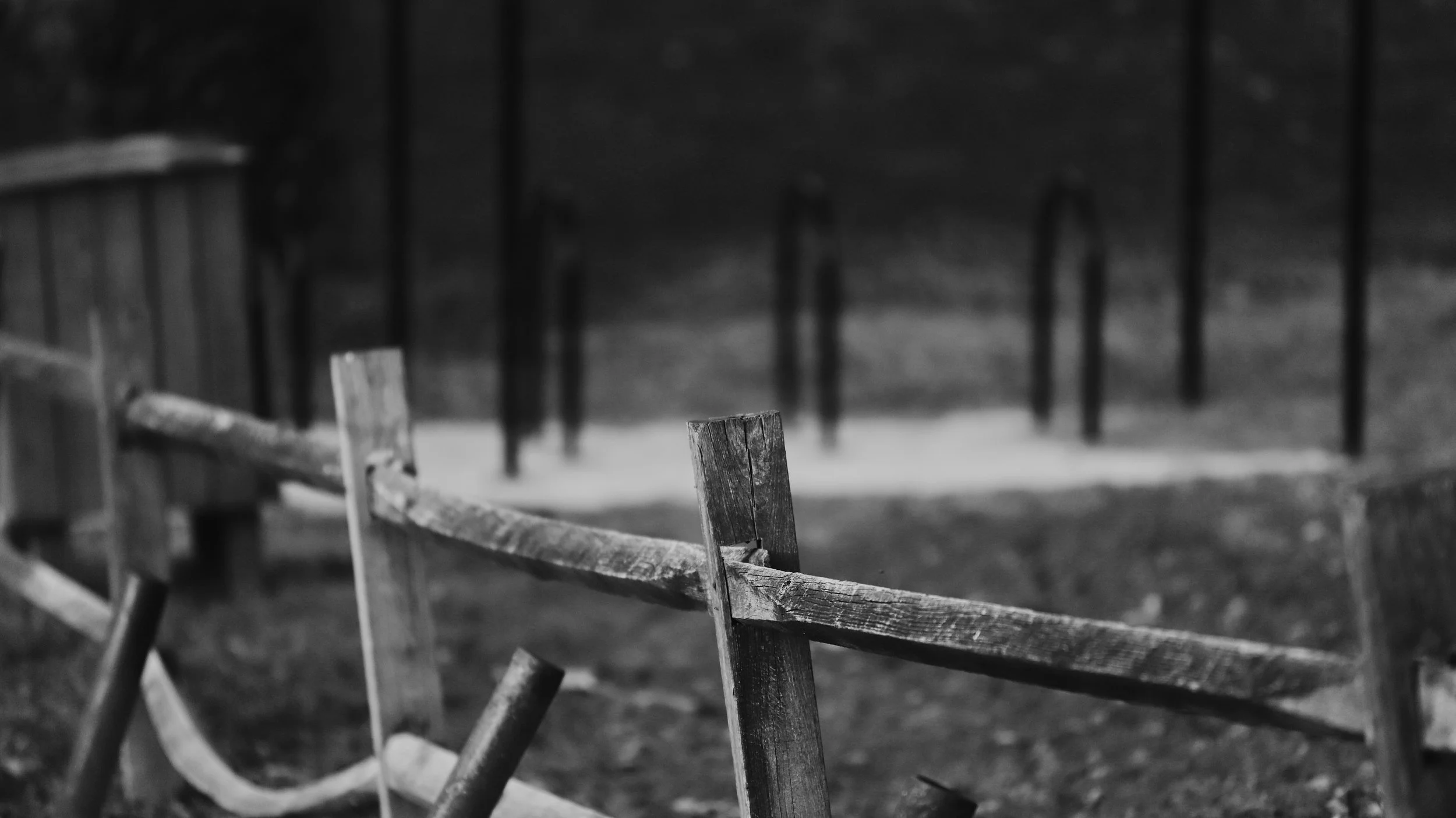 A weathered wooden fence in a park with trees in the background, black and white photograph.