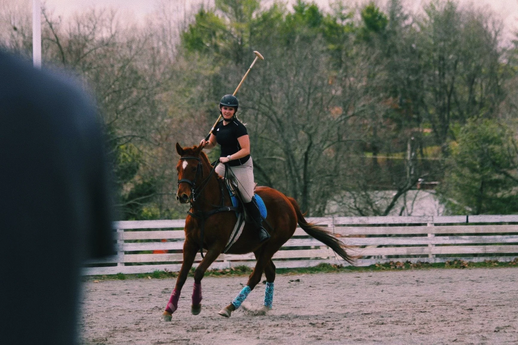 A woman riding a horse on a riding arena with trees and a white fence in the background. The woman is holding a polo mallet and wearing a helmet.
