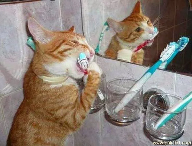 You’re putting THAT in your mouth?