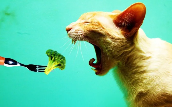5 Simple Sneaks to Eat Ya’ Veggies!