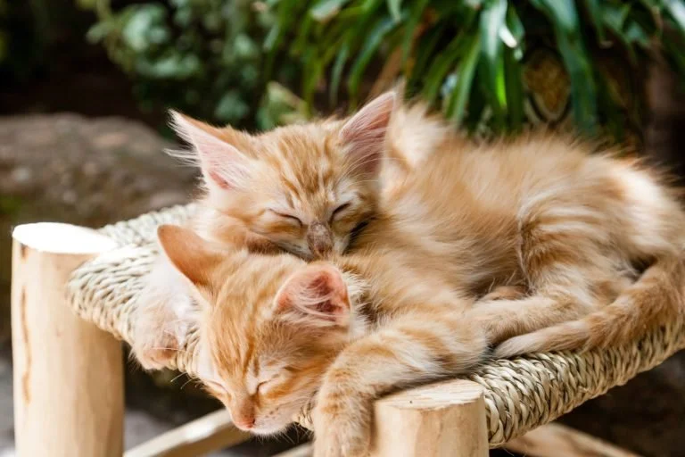8 hours of ZZZ’s like 1, 2, 3!