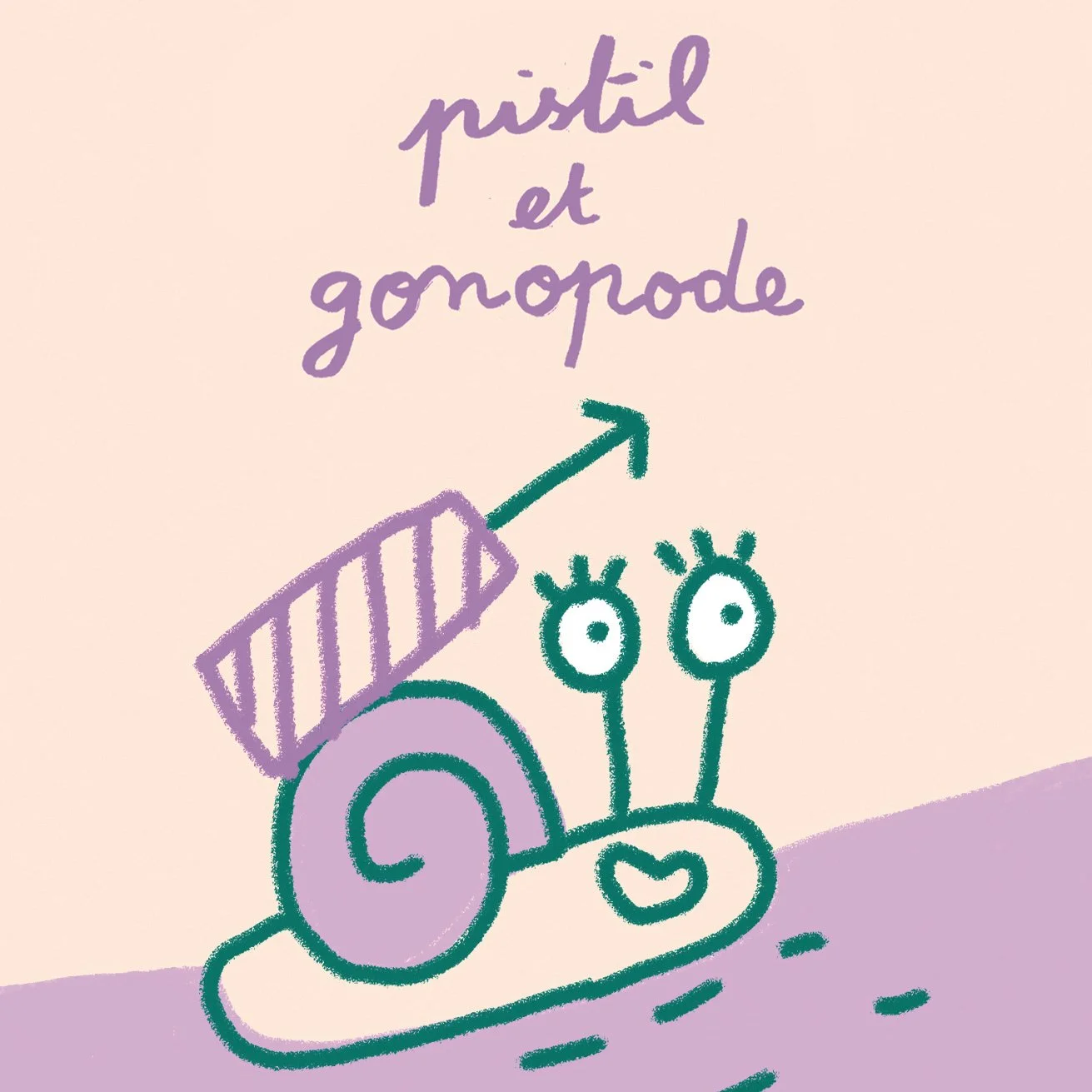 Série animée / Pistil et Gonopode