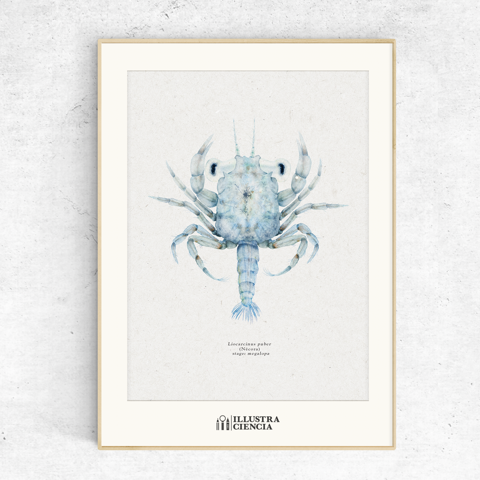 Captura de Pantalla 2025-11-14 a las 16.11.02.png