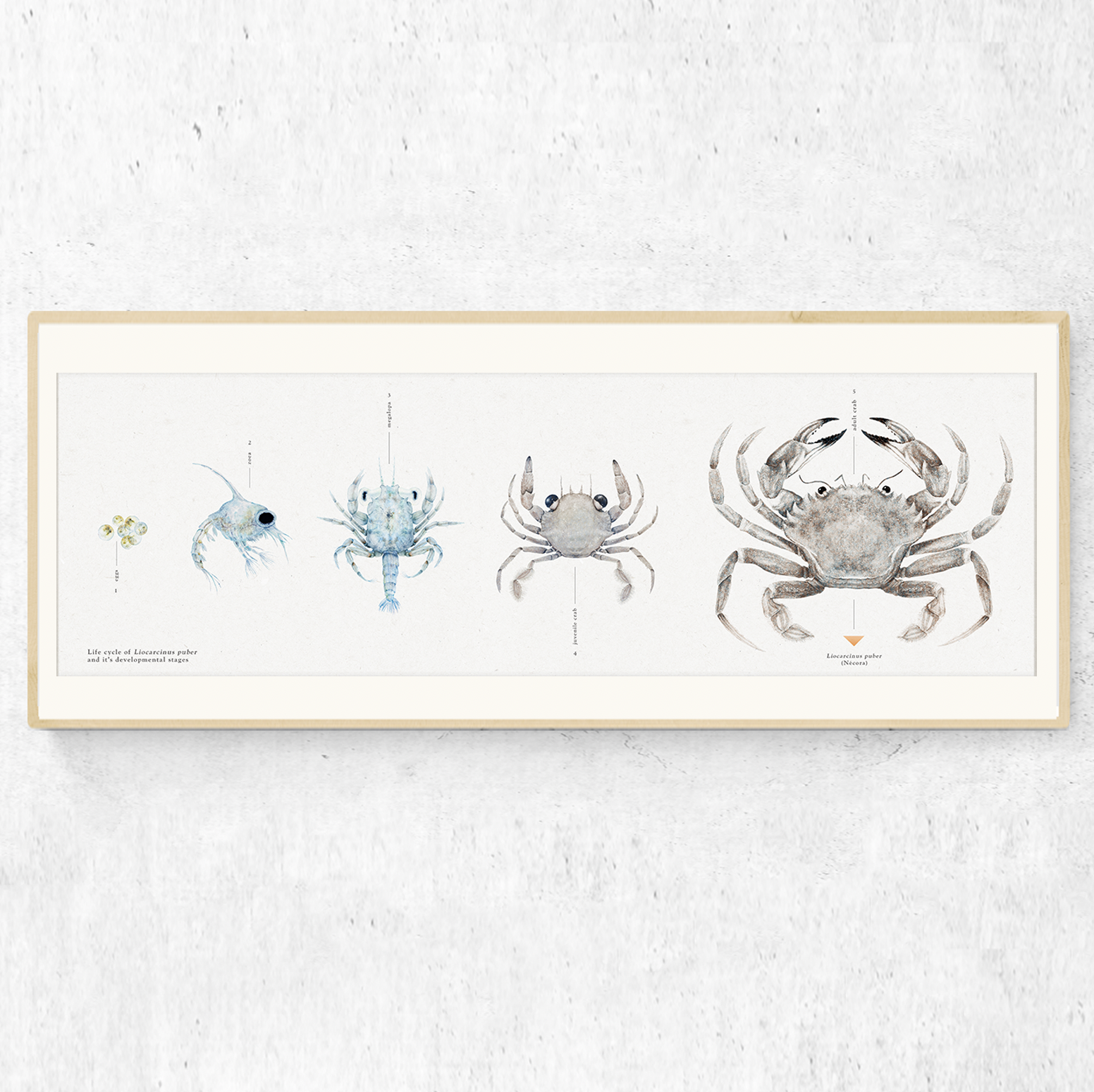 Captura de Pantalla 2025-12-10 a las 18.43.34.png