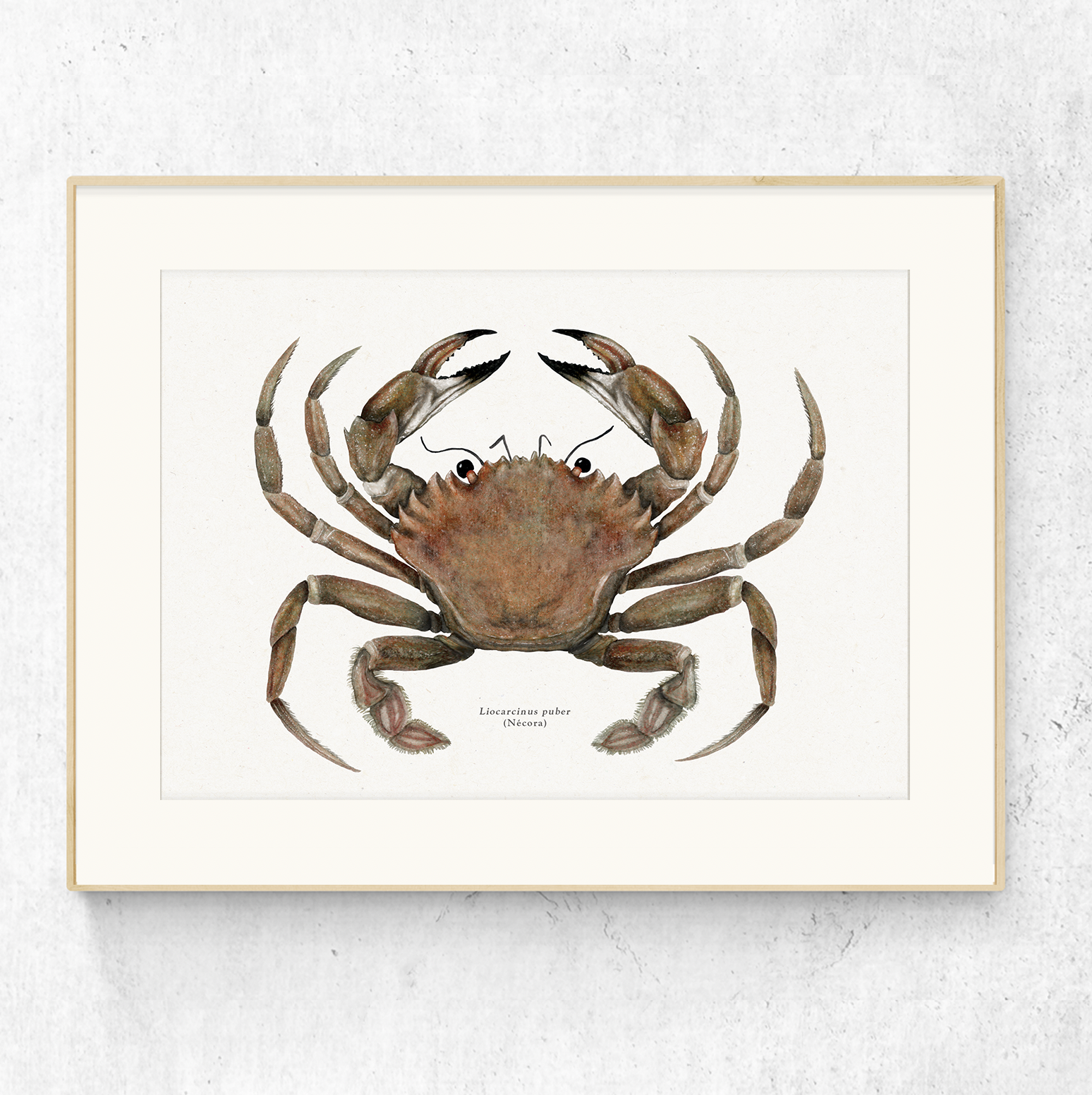 Captura de Pantalla 2025-12-10 a las 18.38.39.png