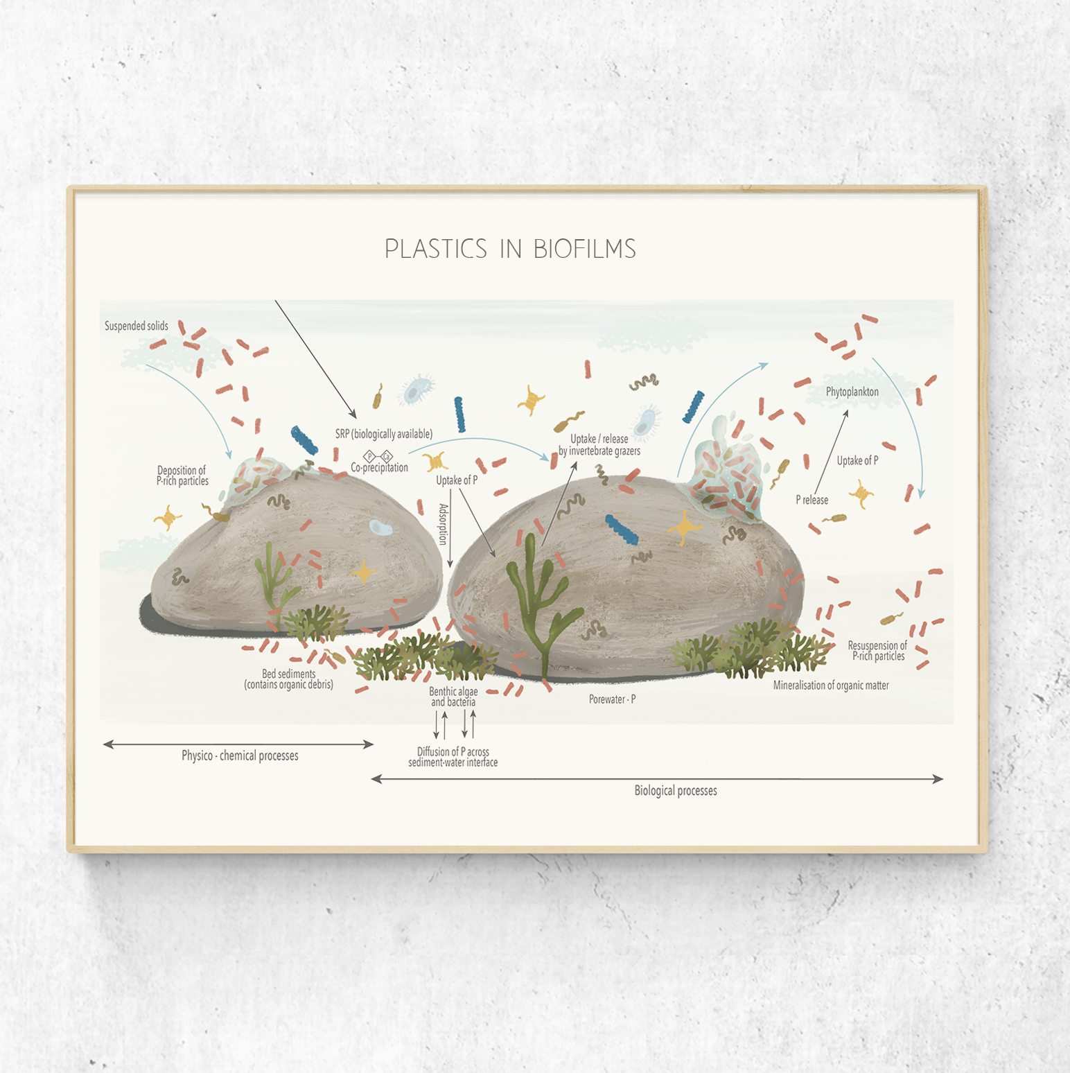 Captura de Pantalla 2025-12-10 a las 18.22.43.png