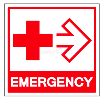 The Village as an Emergency Response System