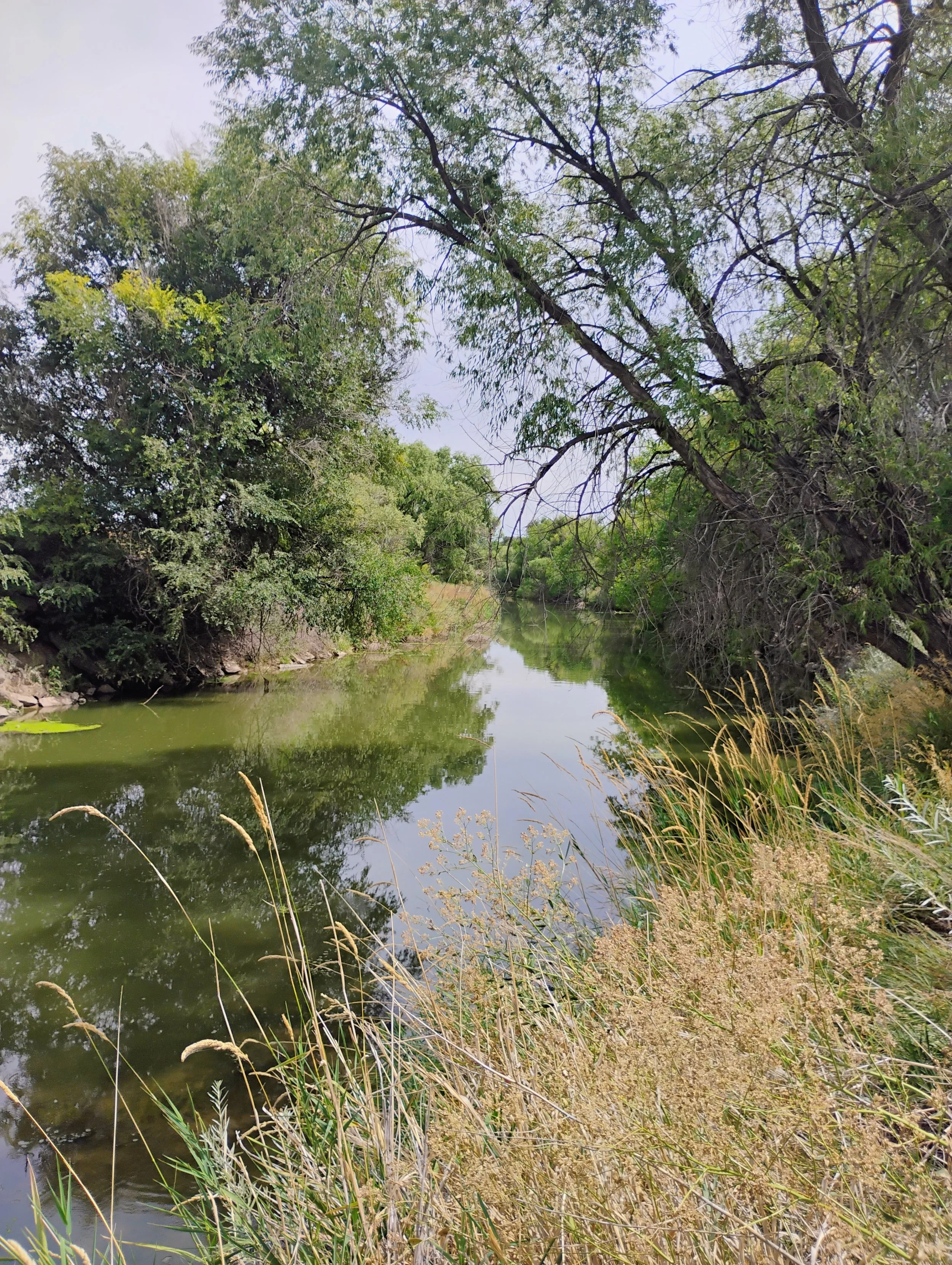 Poudre River Cleanup