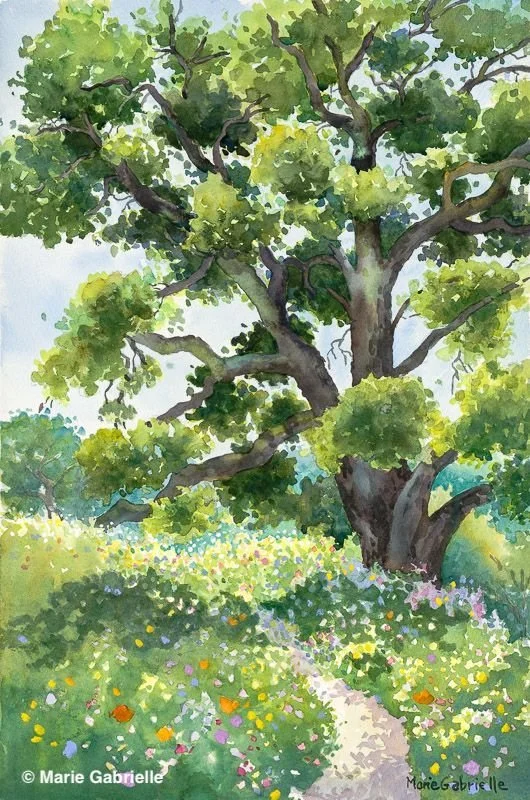 Ancient Oak Arana Gulch, 22x15", $950