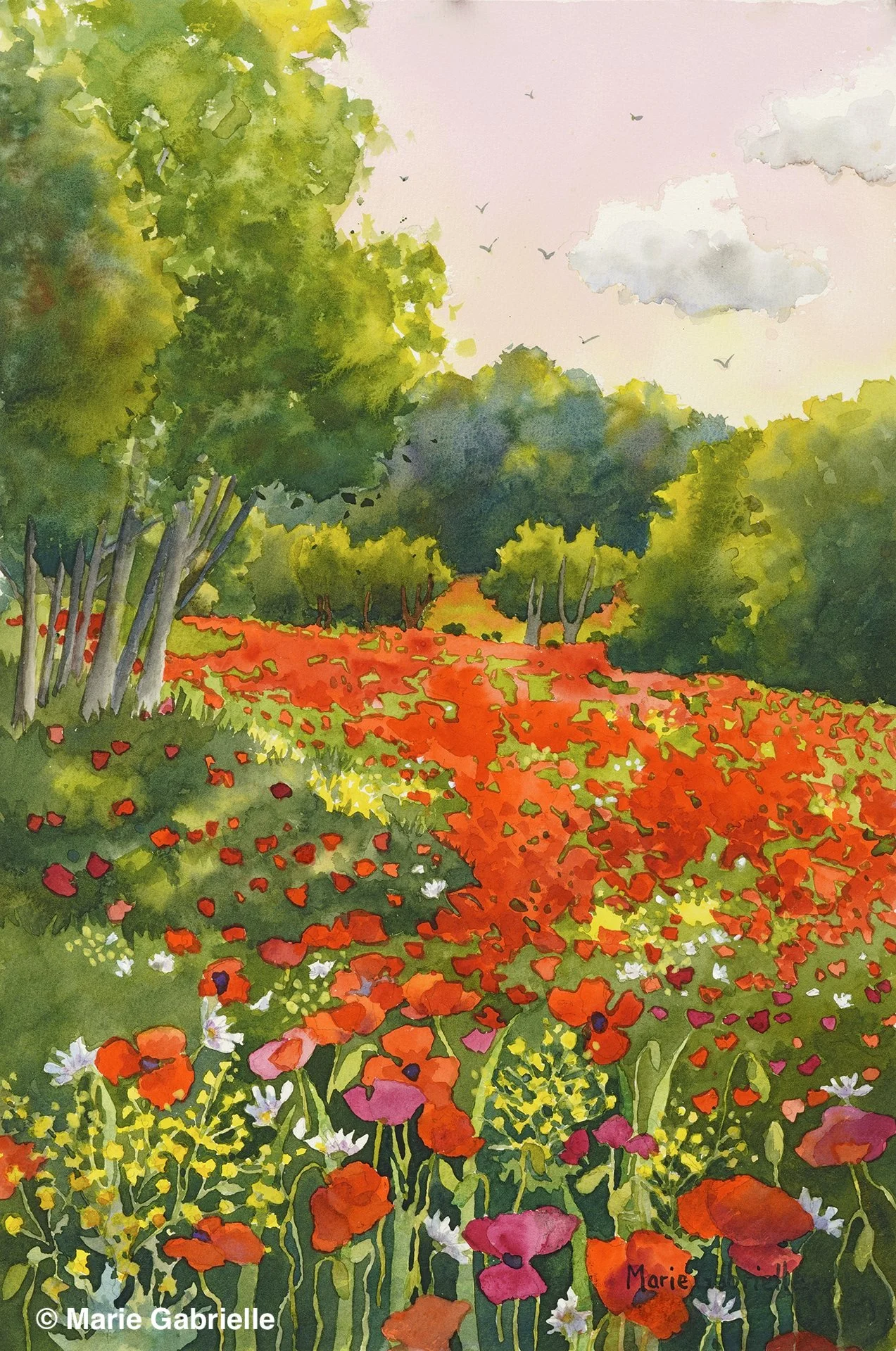 Secret Poppy Field, 22x15", $950