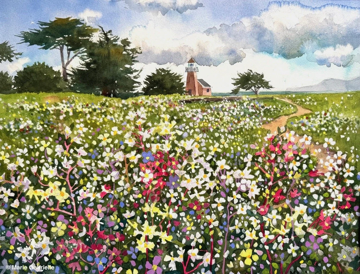 Lighthouse Field, 16x20", $900