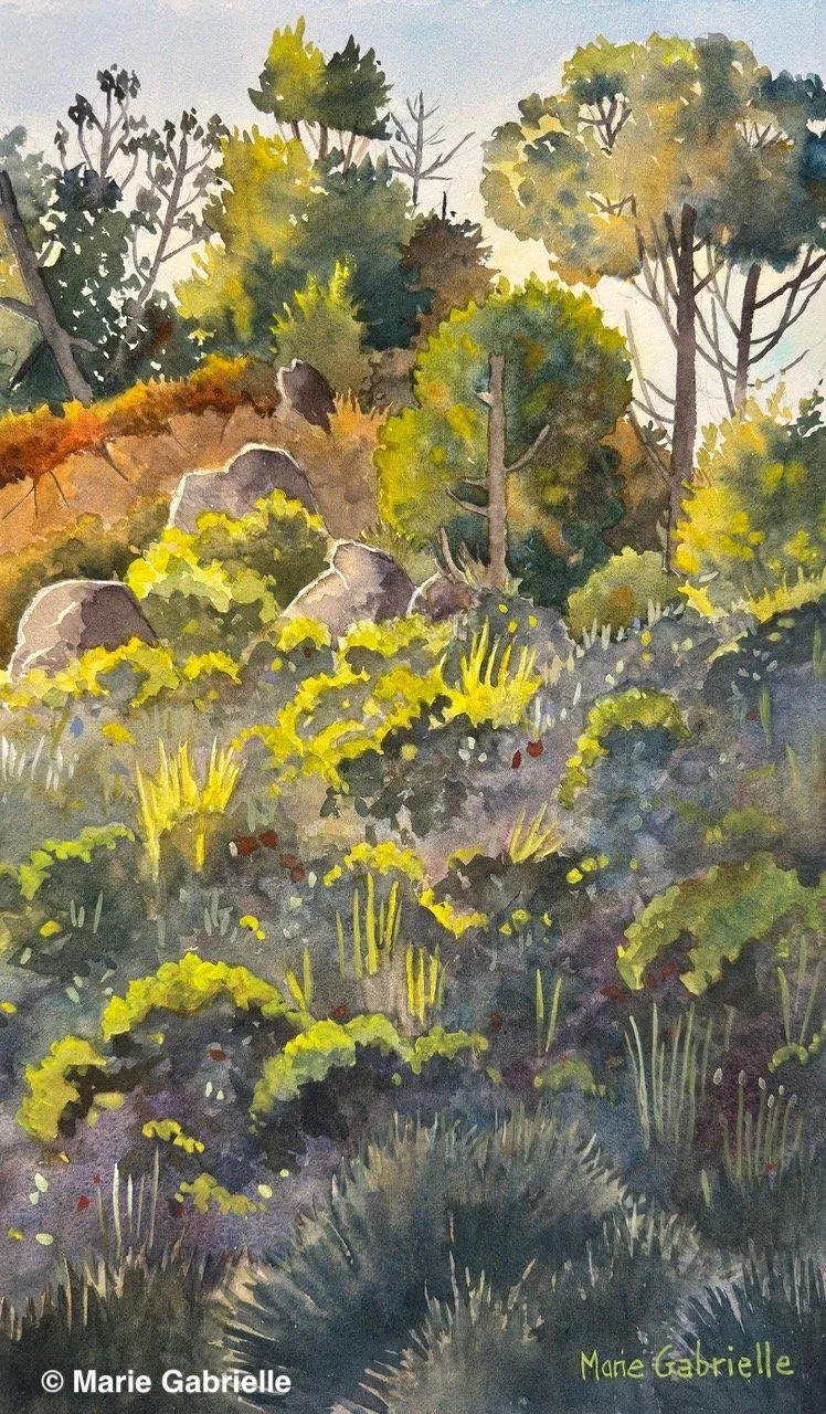 Hillside Point Lobos, 12x20", $800