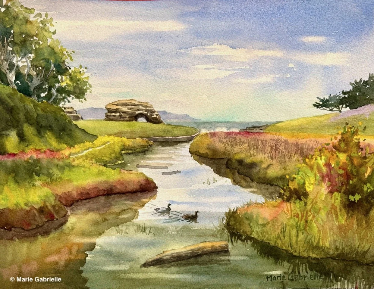 Ducks at Natural Bridges, 12x16", $650