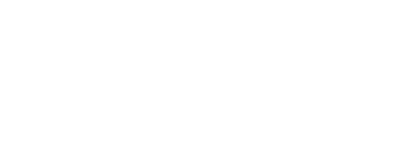 NSPE-logo-white.png