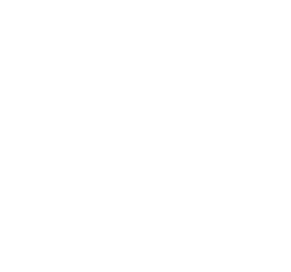 Atlanta Falcons.png