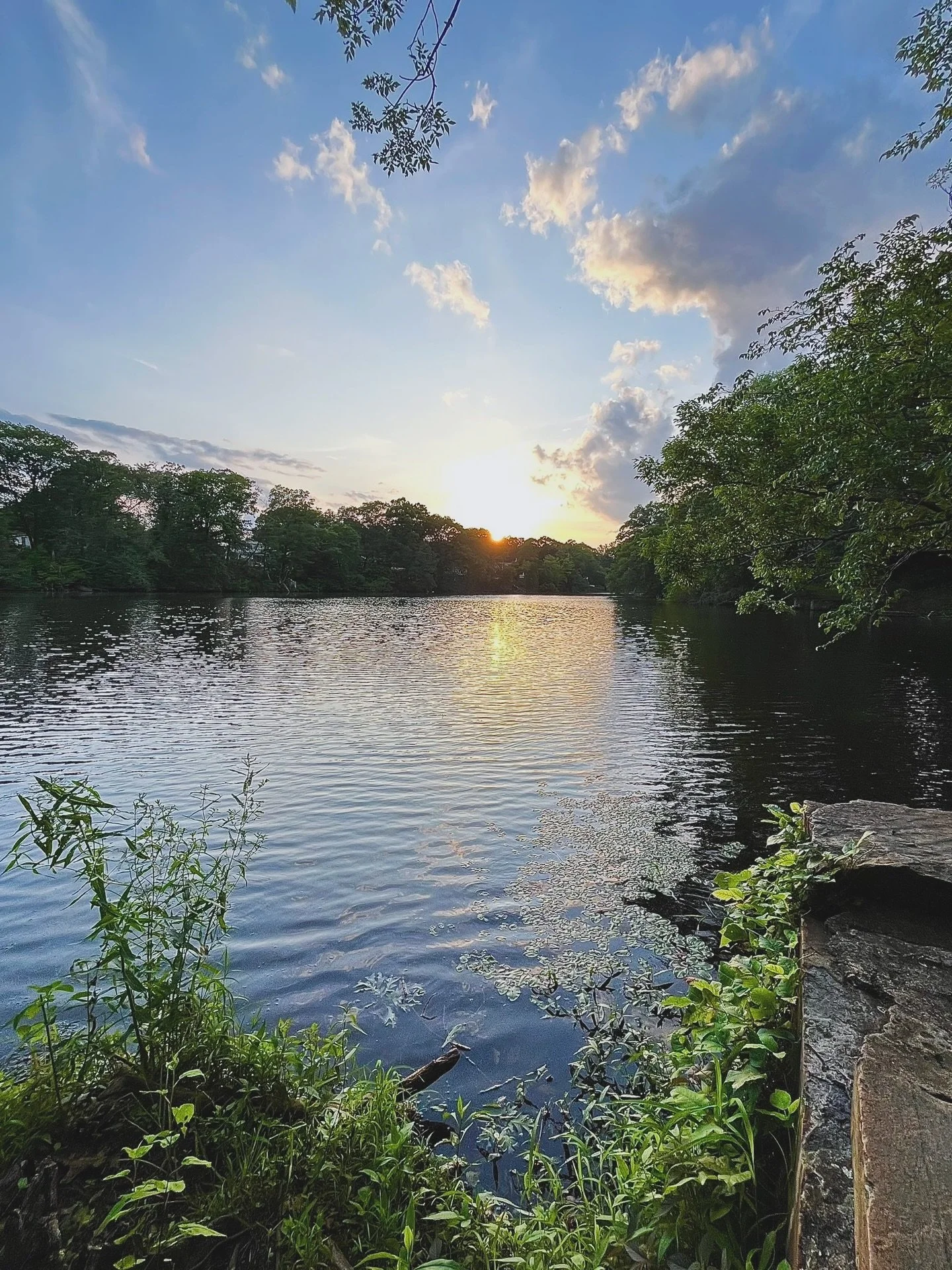 the strange thing about this year is how many difficult moments there were. i grieved loss, change, unmet expectations, and so many masks that no longer fit. it wasn&rsquo;t the grief itself that felt strange, but that, in spite of it, 2025 has been 