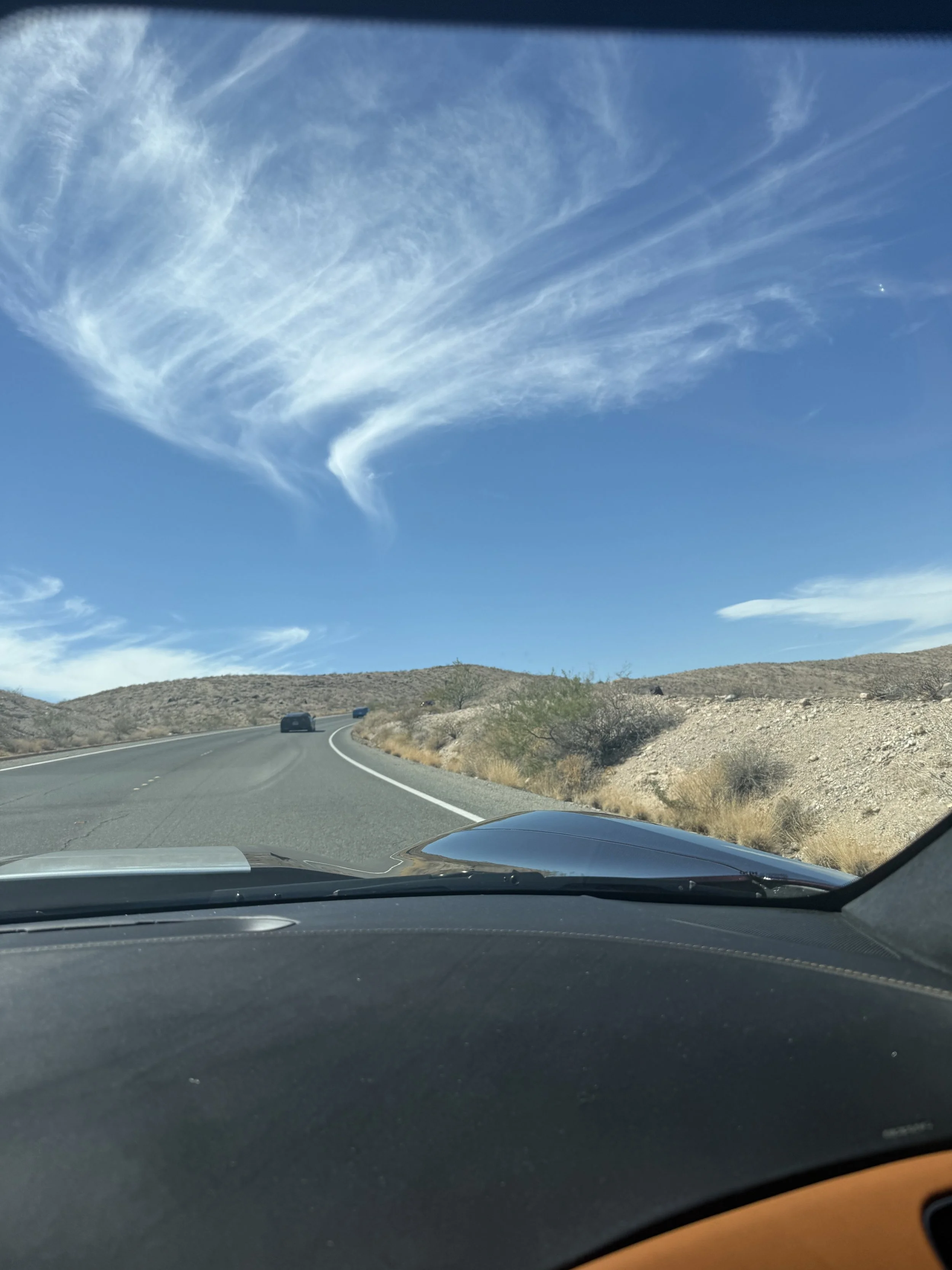 FC5B7C90-2B37-4163-9B6A-D94222359DE7.JPG