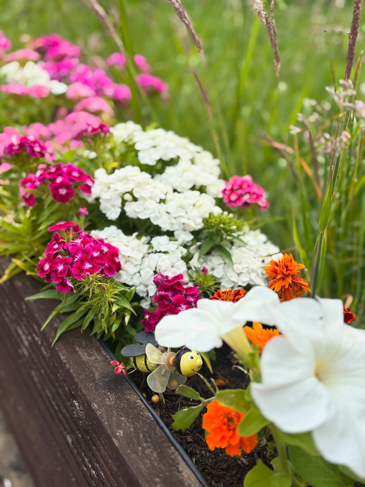 Love visiting my parents garden and this time of year is no exception for the beautiful colours that have popped up and bloomed. I know I use artificial flowers but the real deal always gives me great ideas for new projects. What&rsquo;s your fave fl