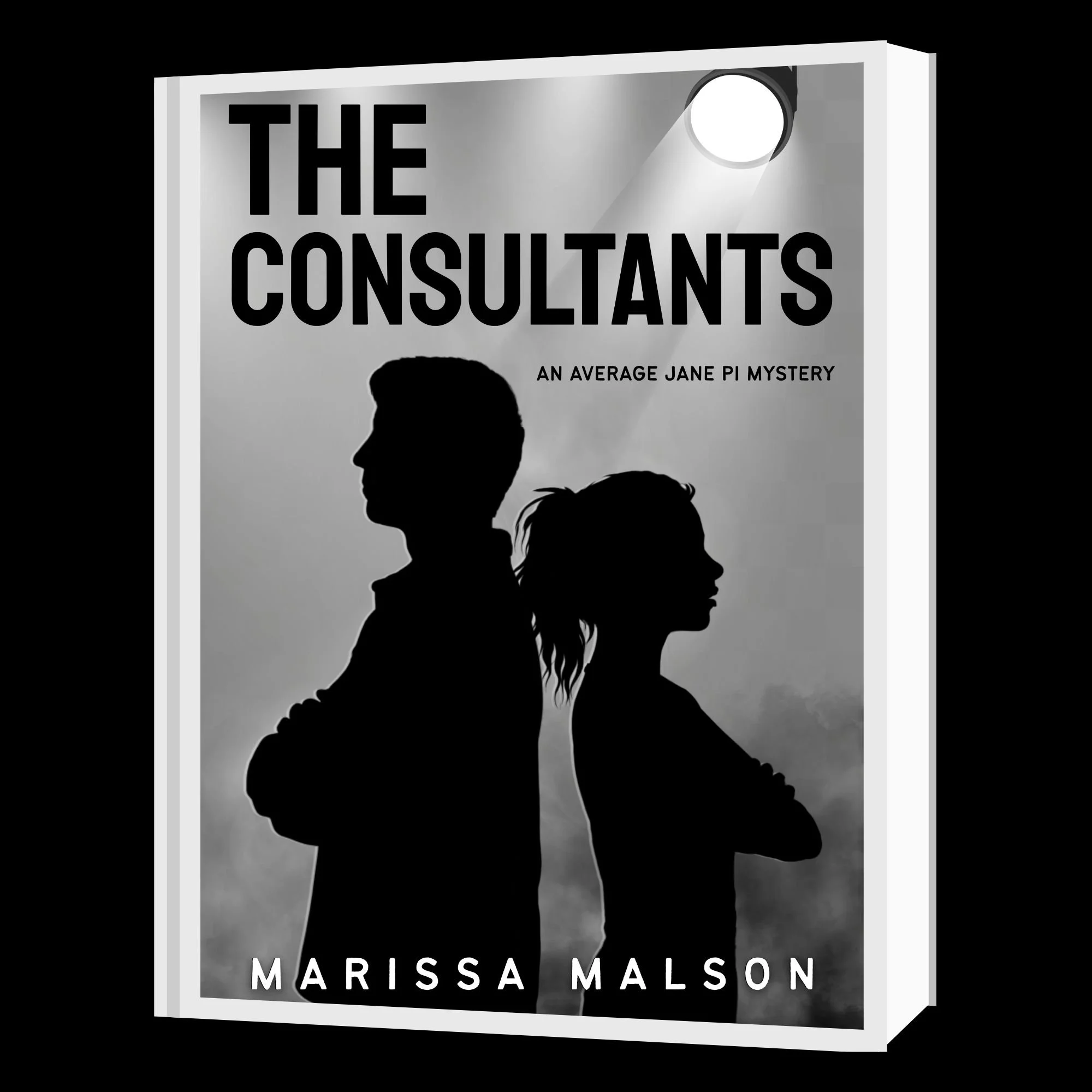 Cover of the book titled 'The Consultants' by Marissa Malson, featuring silhouettes of a man and a woman.