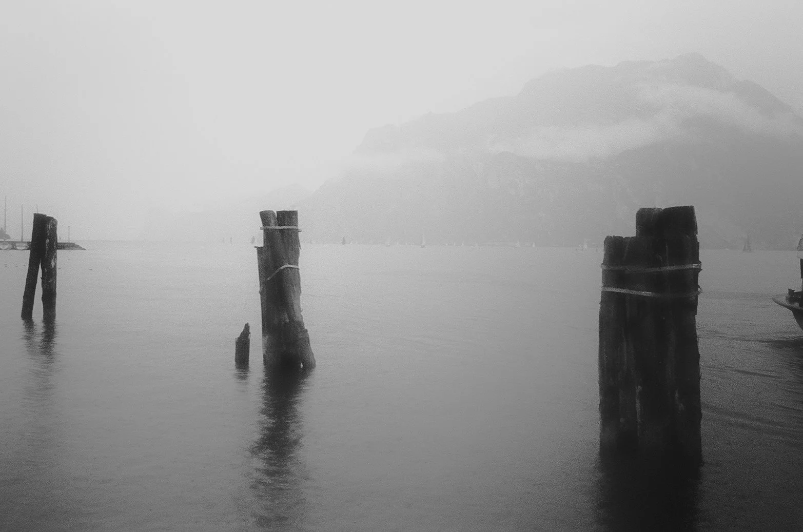 PILINGS BLACK AND WHITE.JPG