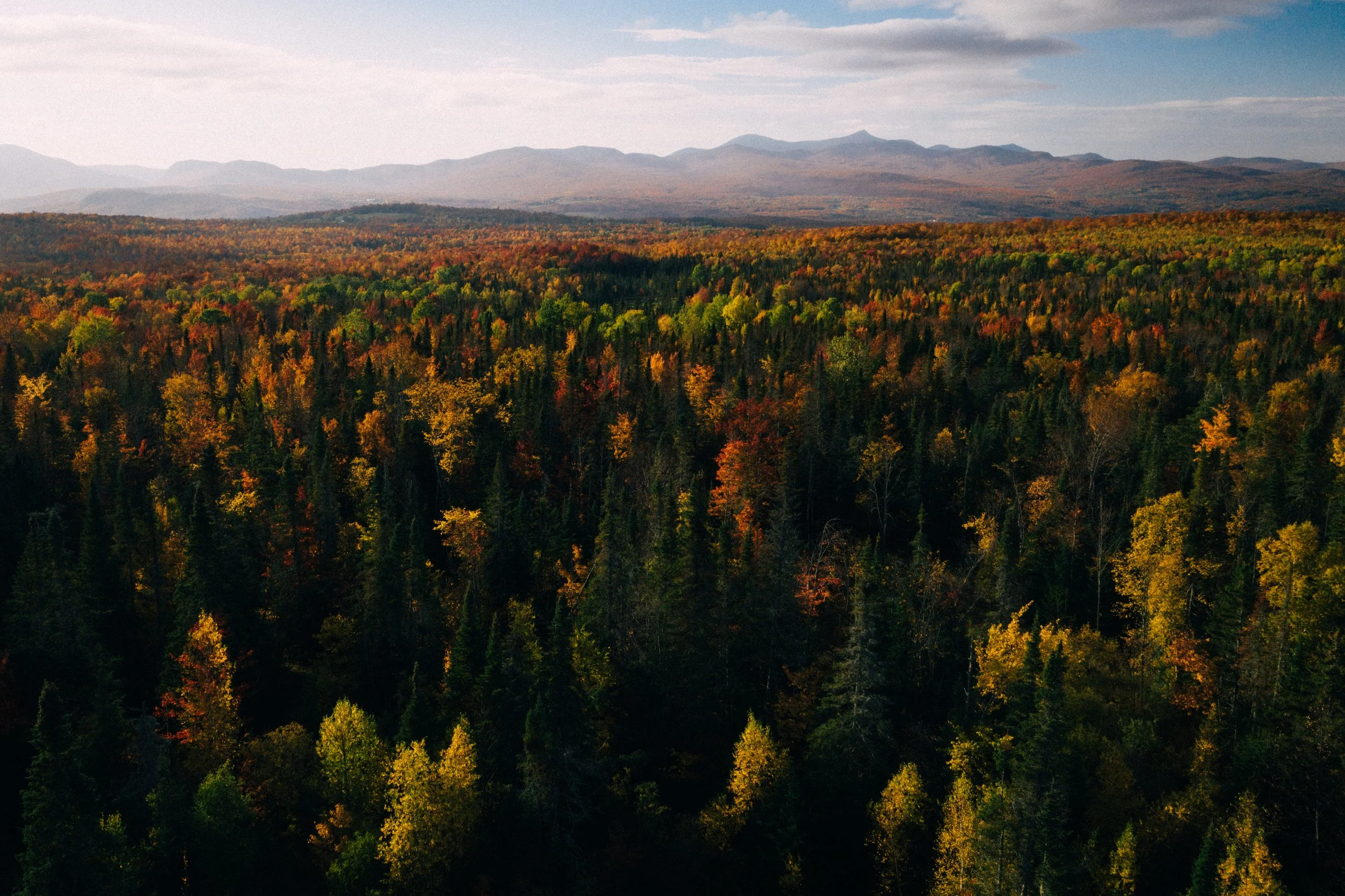 DJI_0050.jpg