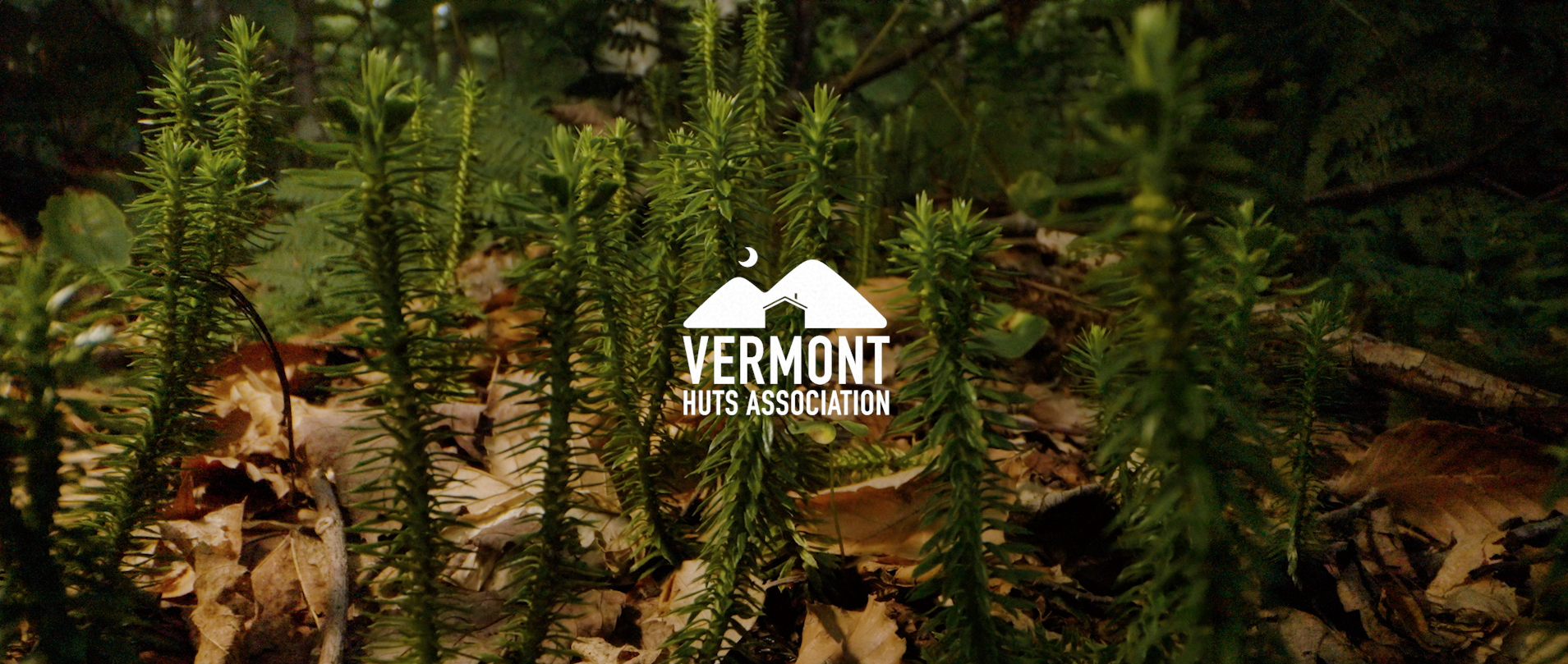 Screenshot 2026-02-08 at 9.46.50 PM.png