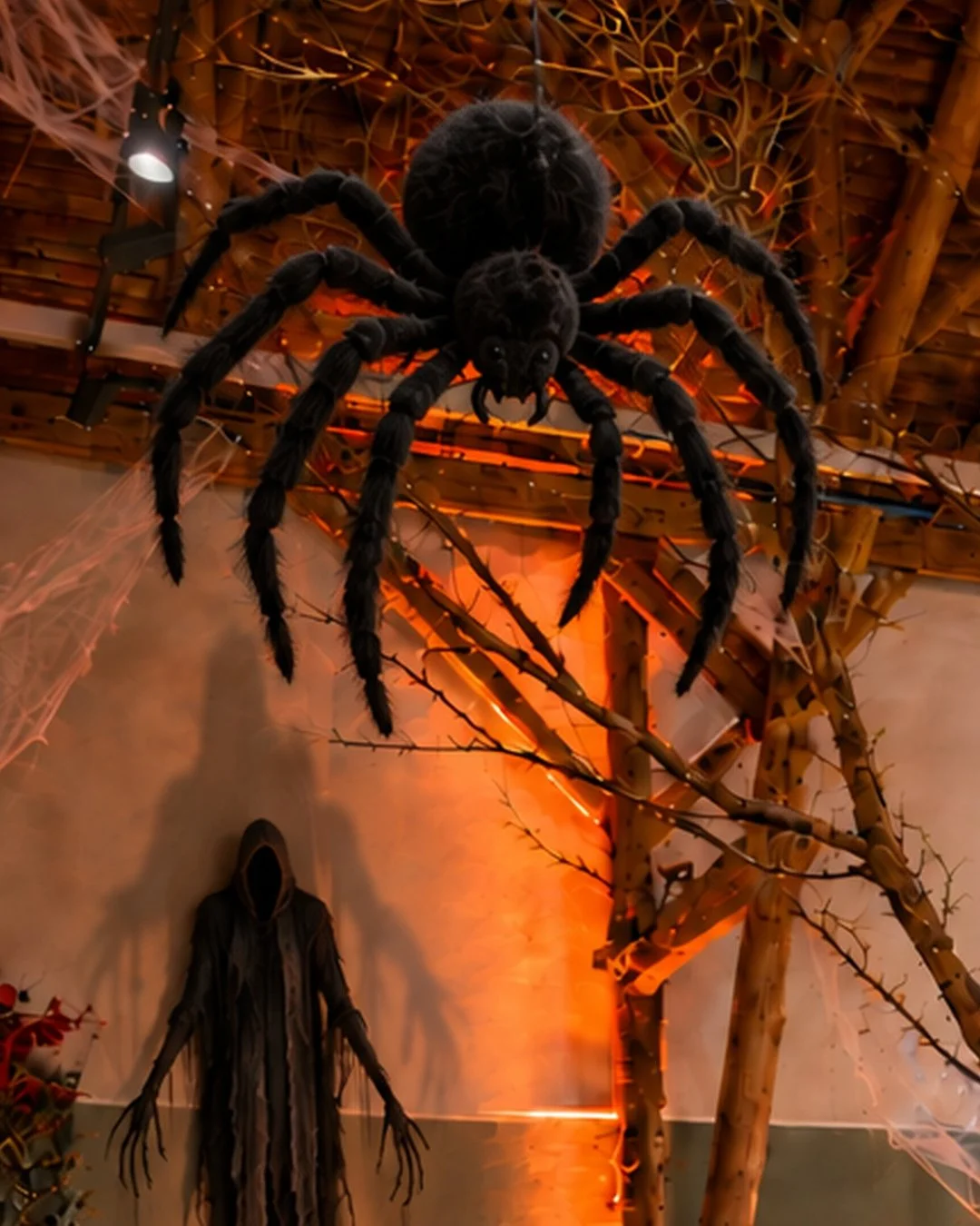04-XL-Spinne-ohne-Text.jpg