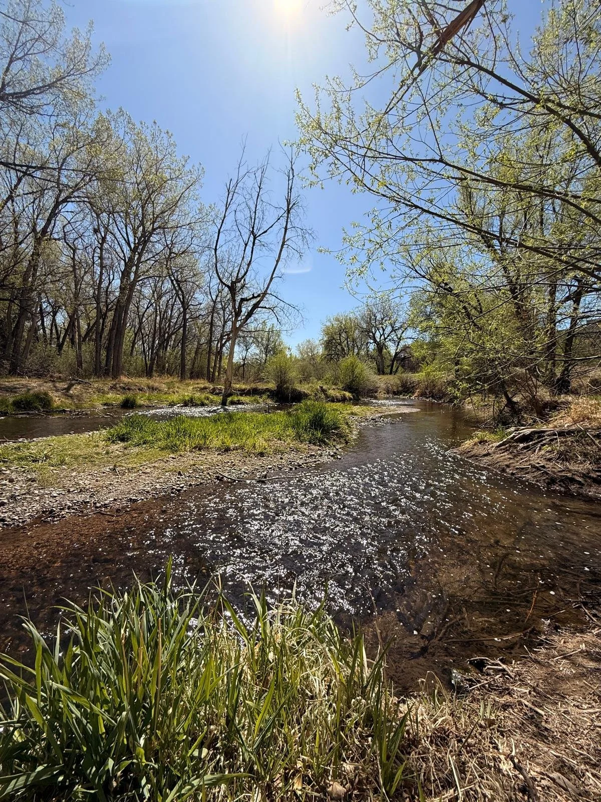 Understanding Active vs. Passive Hope&nbsp;