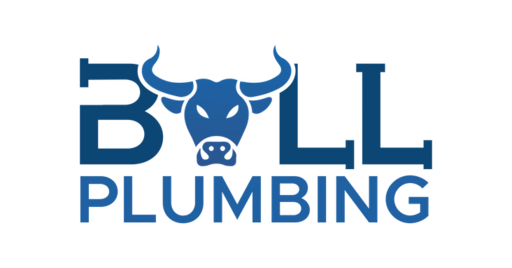 BullPlumbing_reduced.png
