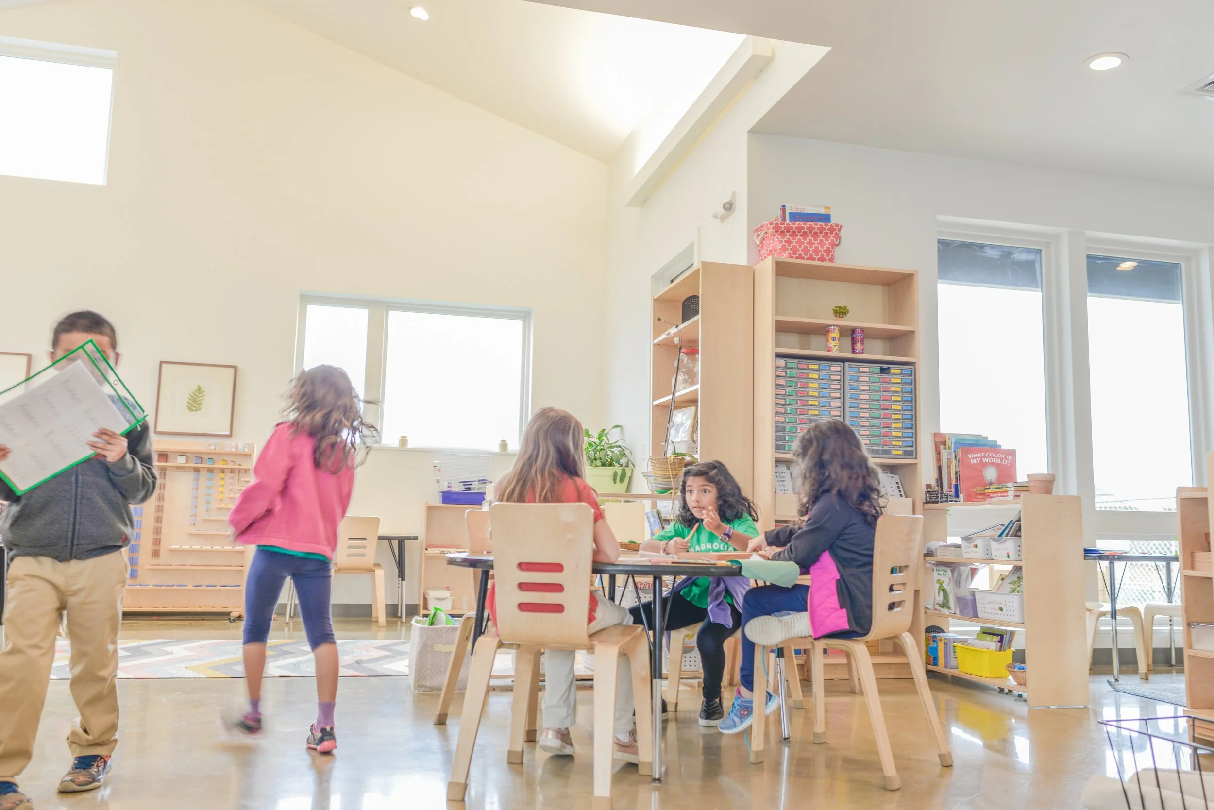 Magnolia Montessori for All