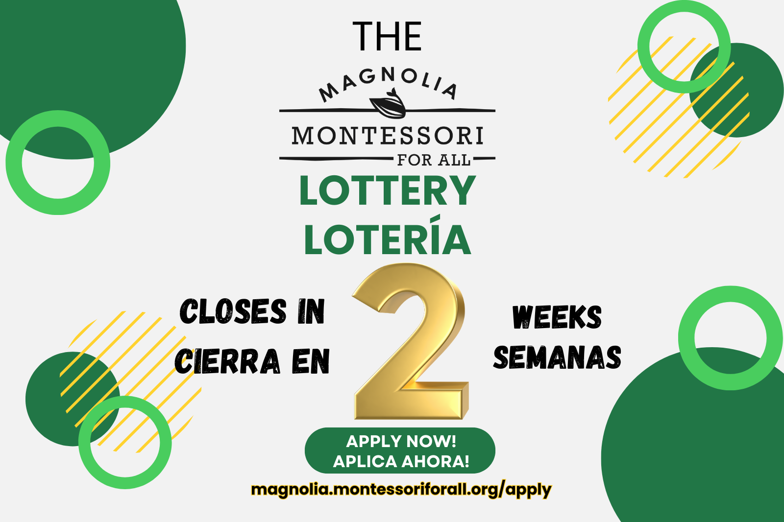 the (800 x 533 px) (2).png