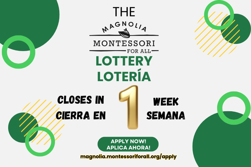 the (800 x 533 px) (3).png