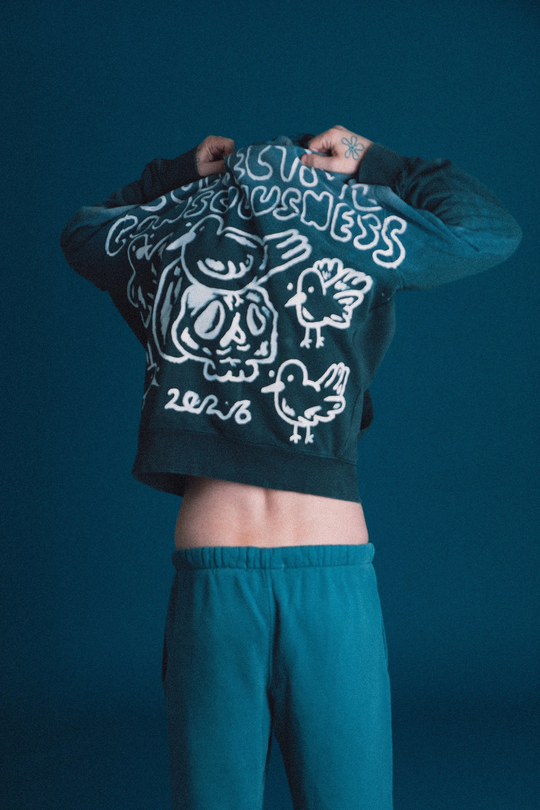 Collective Consciousness Birds Hoodie