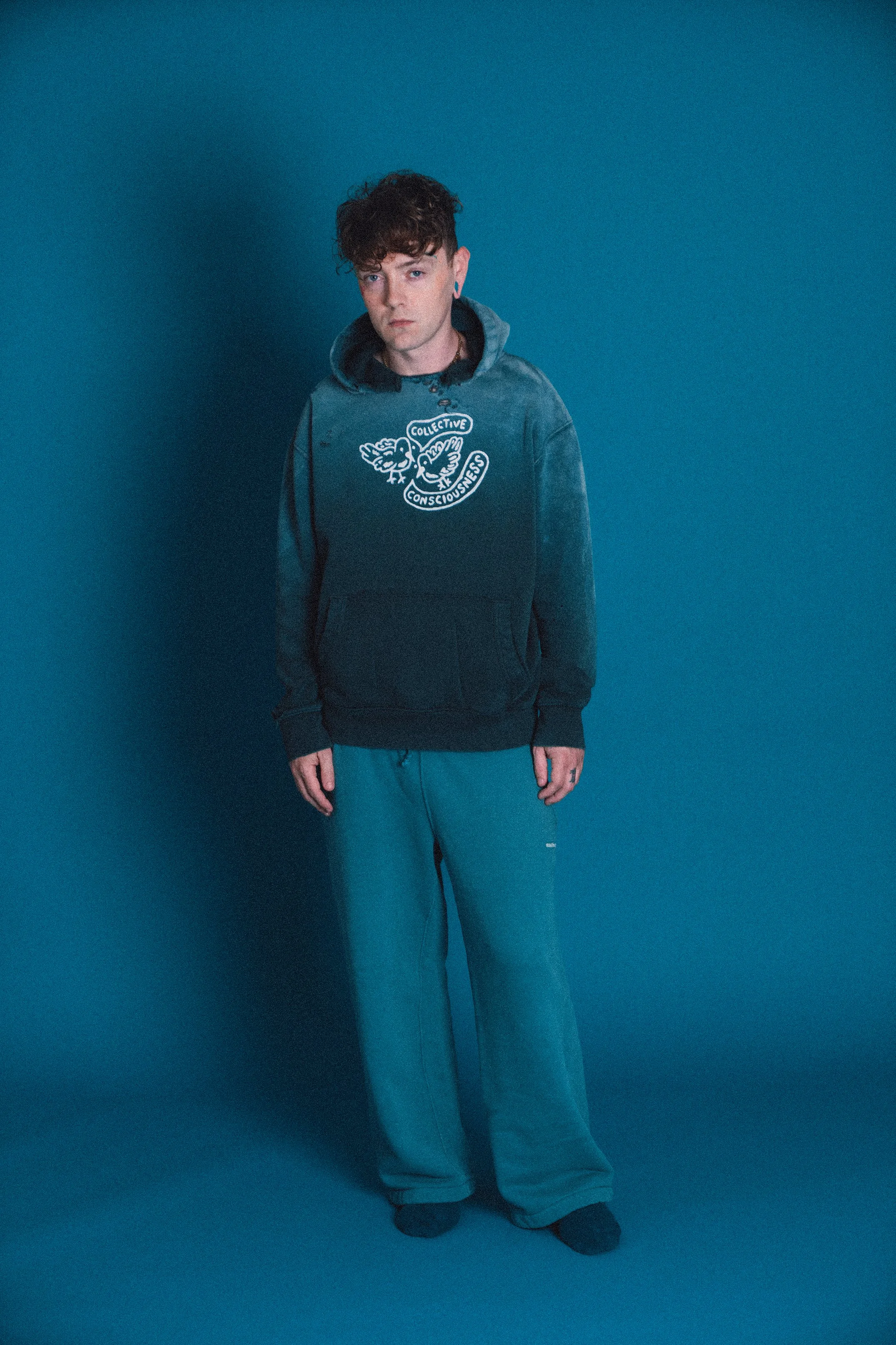 Collective Consciousness Birds Hoodie