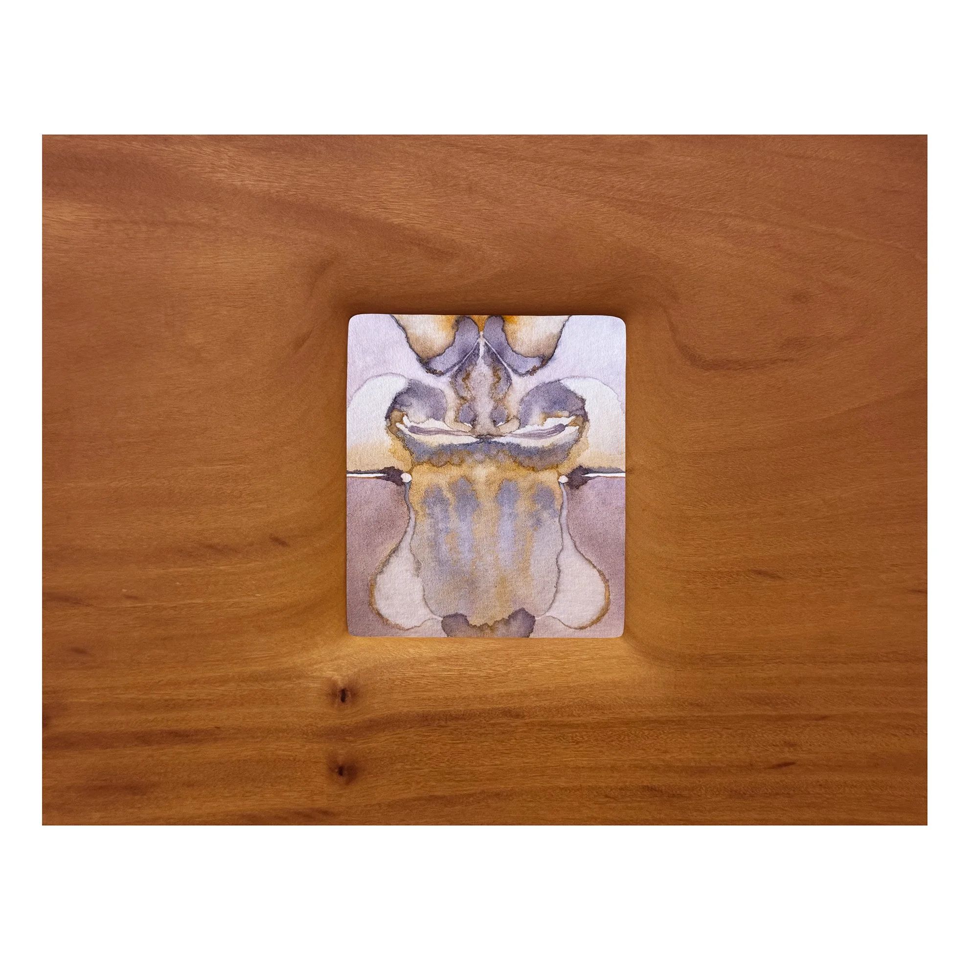 CONCHA 02, 2025. Aquarela sobre papel e madeira esculpida. 36 x 28,4 cm.