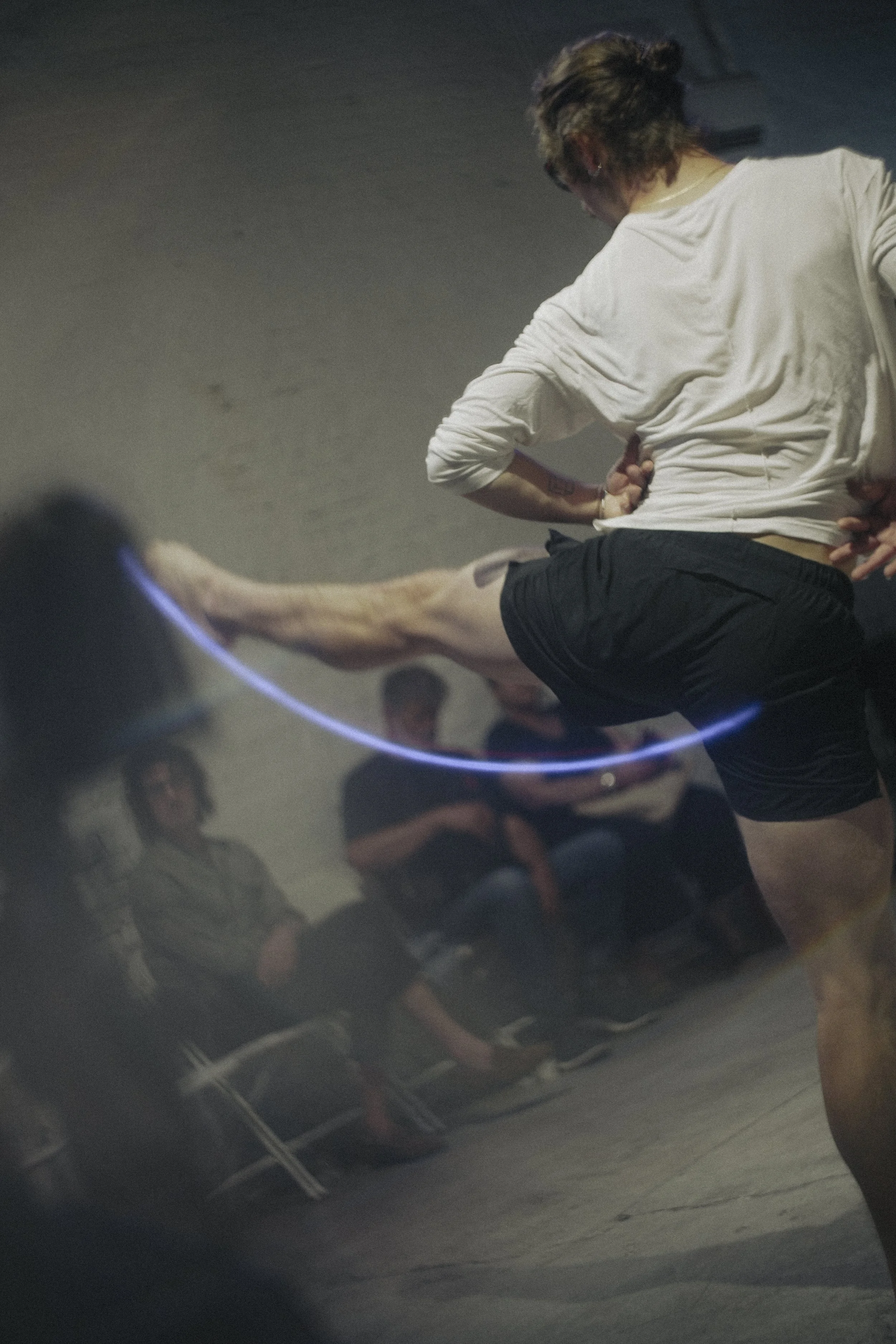 Rodney Murray- MOVEABLE BODIES