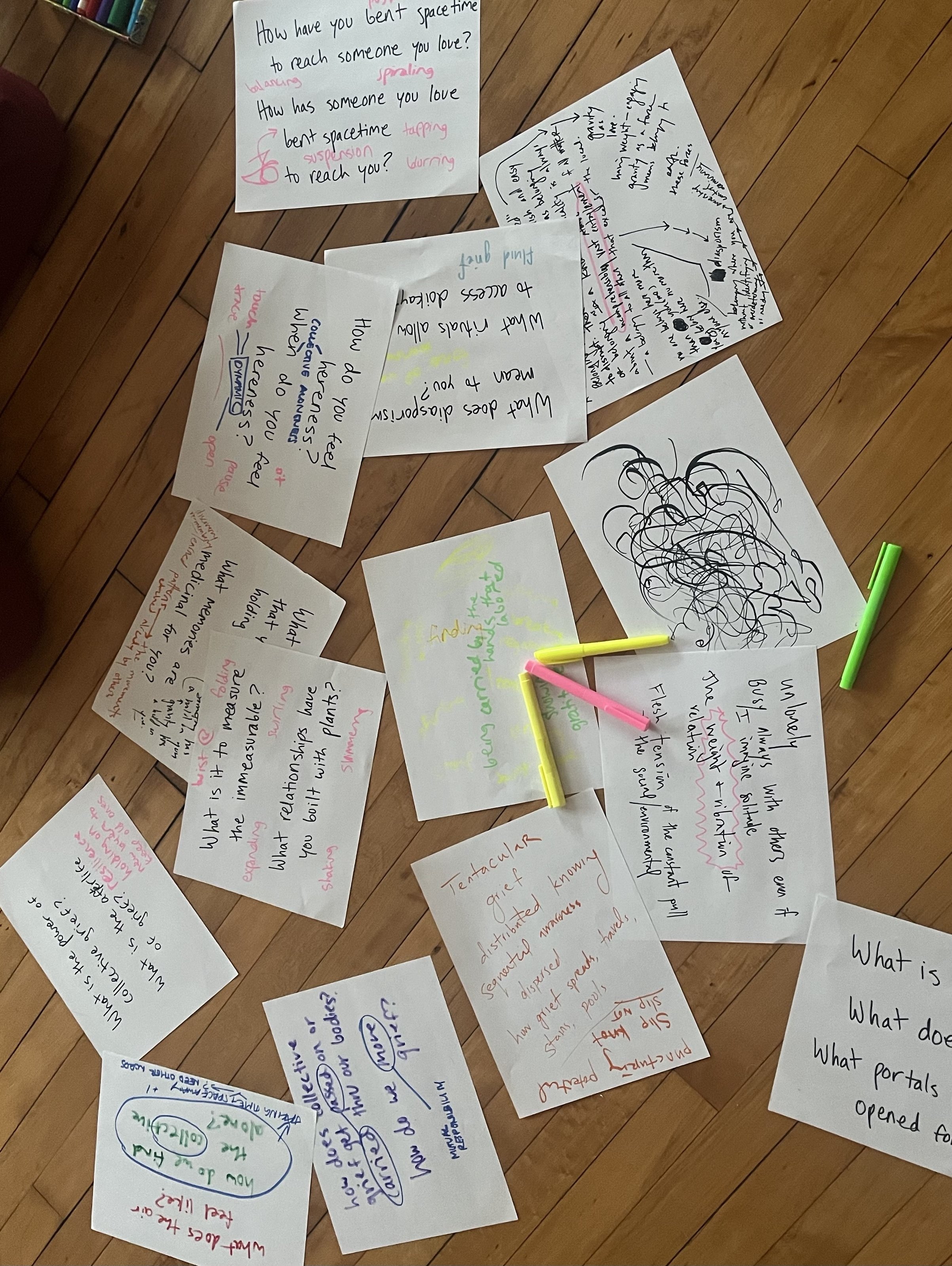 IMG_0096 - Olivia Brown.jpg