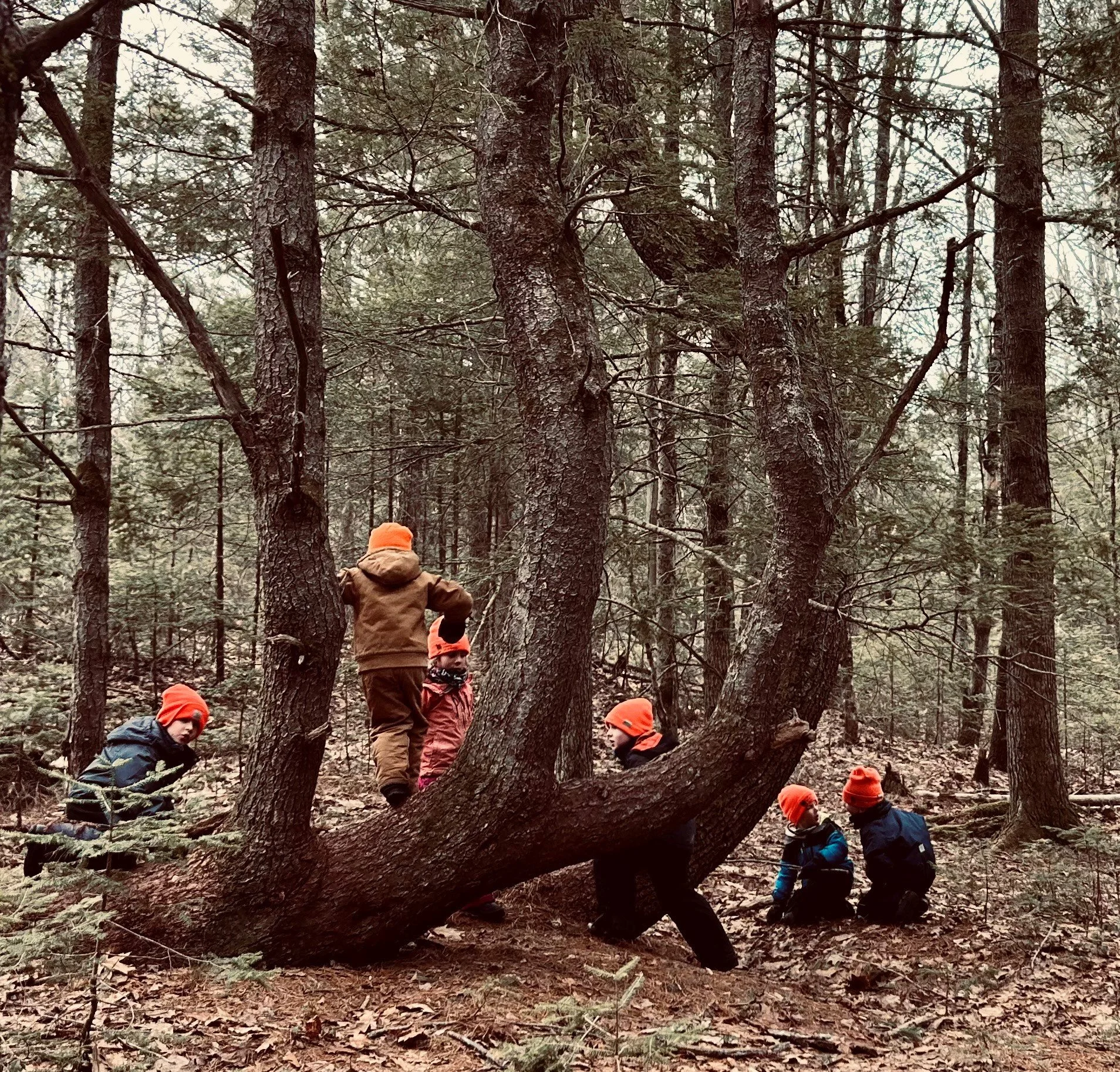 new at the crooked pines.jpg