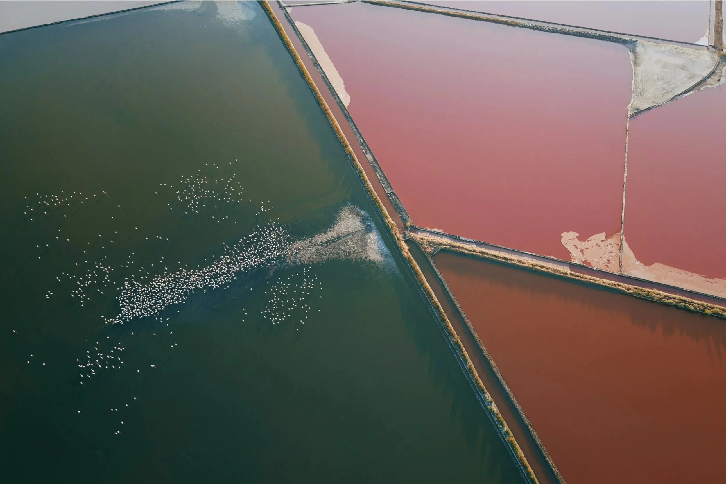 Aerial view of Atanasovsko Lake salt pans near Burgas