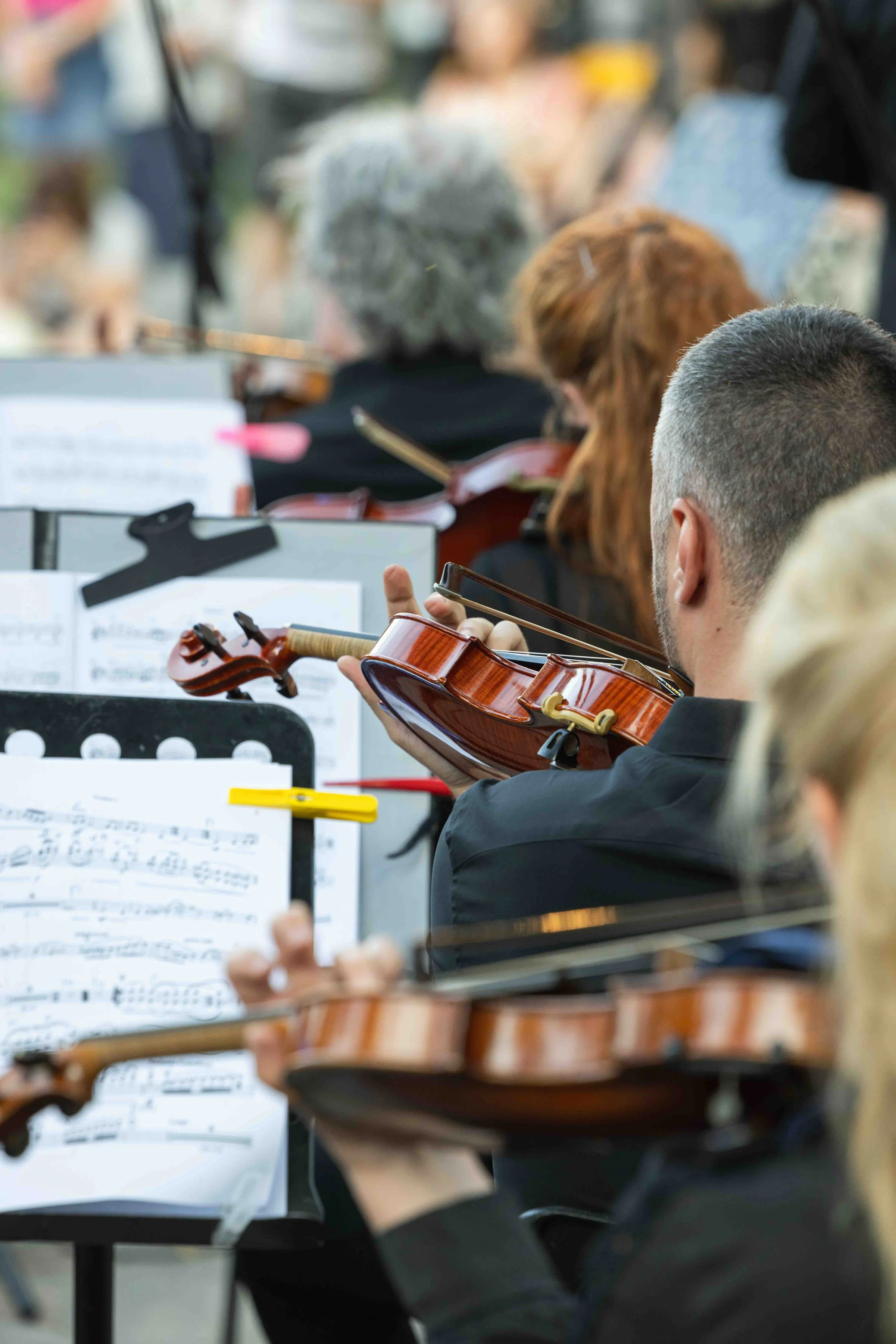 Orchestra musicians playing violins during a performance, with sheet music on stands in front of them.