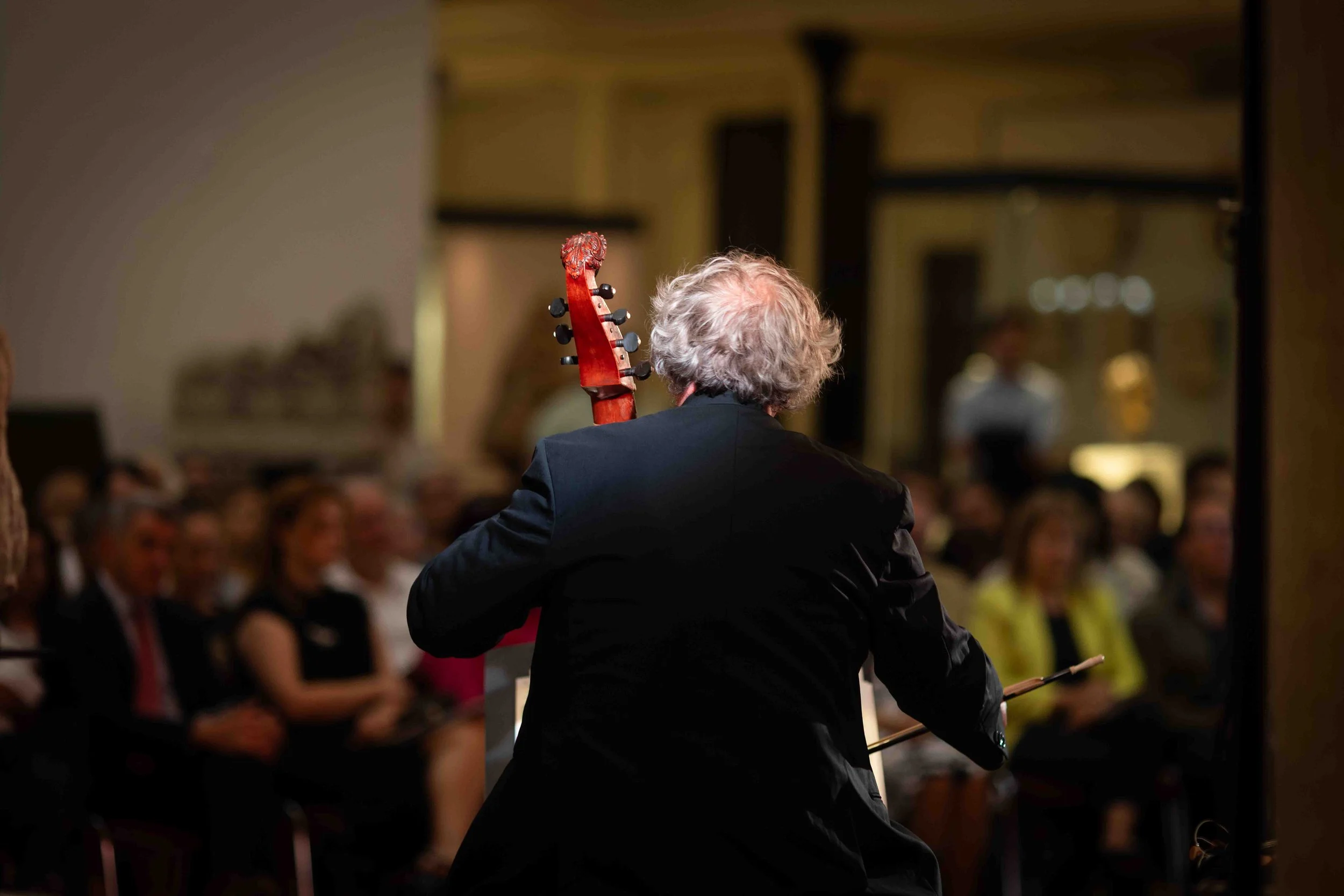 View of a classical musician from behind, playing a cello and conducting, with an audience watching in a dimly lit auditorium.