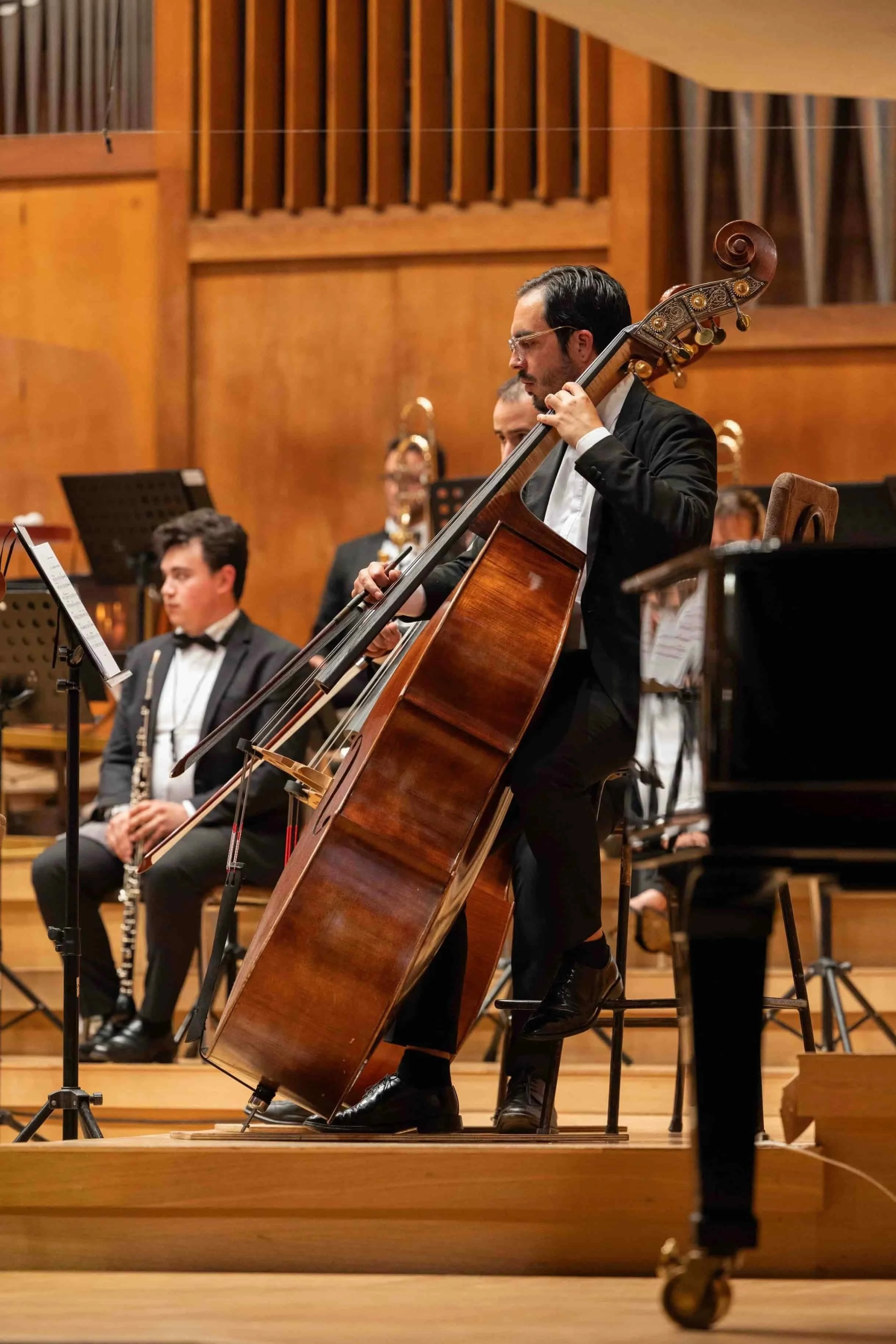 Orchestra musicians performing on stage, focusing on a man playing the double bass in a formal concert hall with wooden paneling.