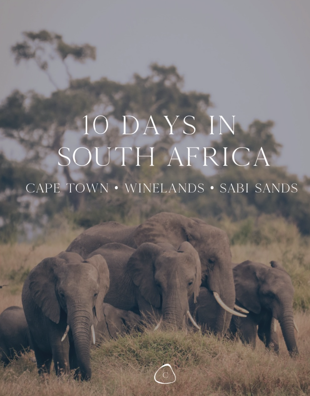 A group of elephants walking through grassy terrain with trees in the background, overlaid with text about a 10-day trip to South Africa including Cape Town, Winelands, and Sabi Sands.